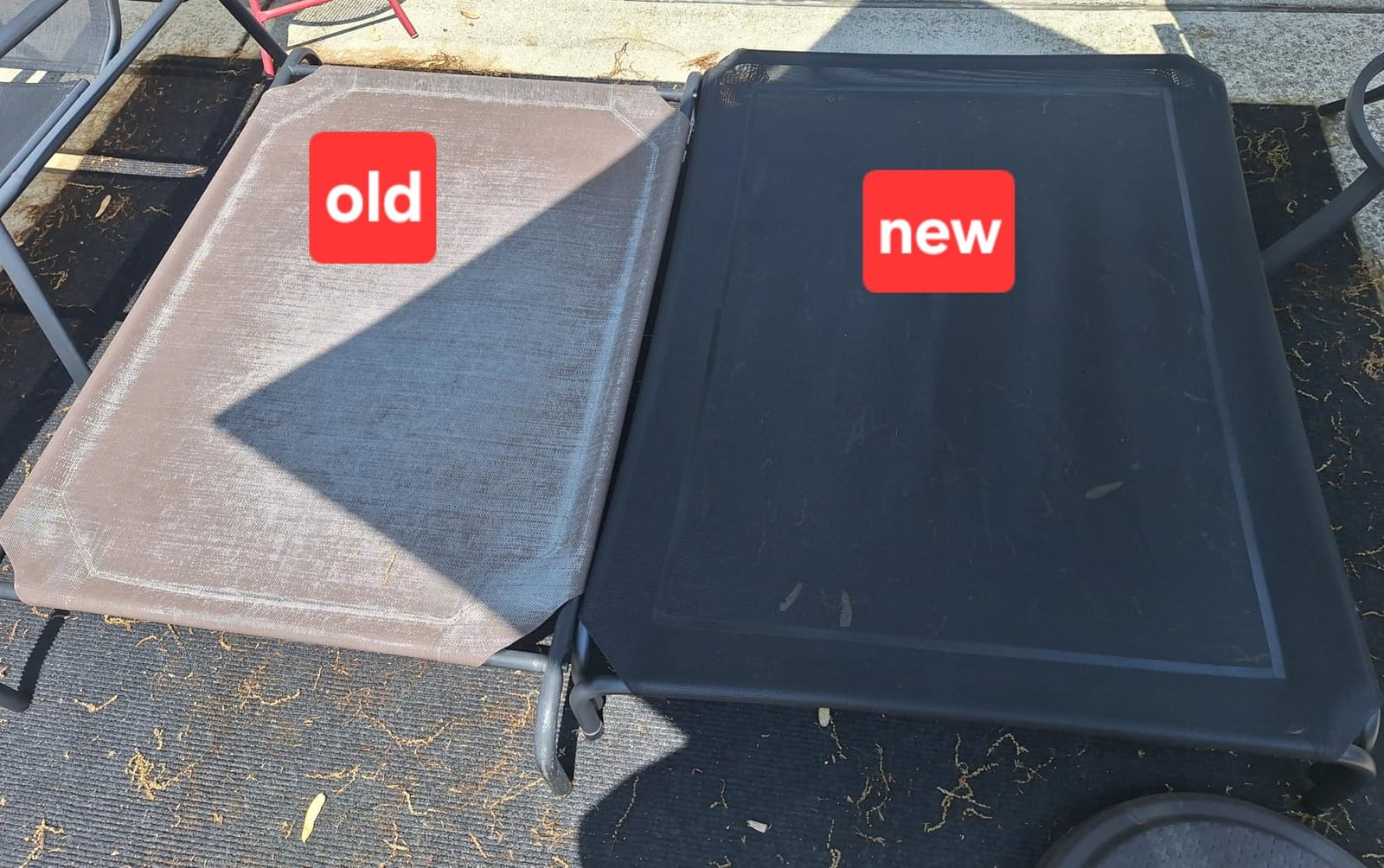 Elevated Dog Bed Raised Outdoor Dog Cot for Large Dogs, Installation Requires No Tools, Frame with Washable Cooling Breathable Mesh Anti-Slip Feet, Indoor Pet Bed, Black, 43.3 Inches customer photo 2