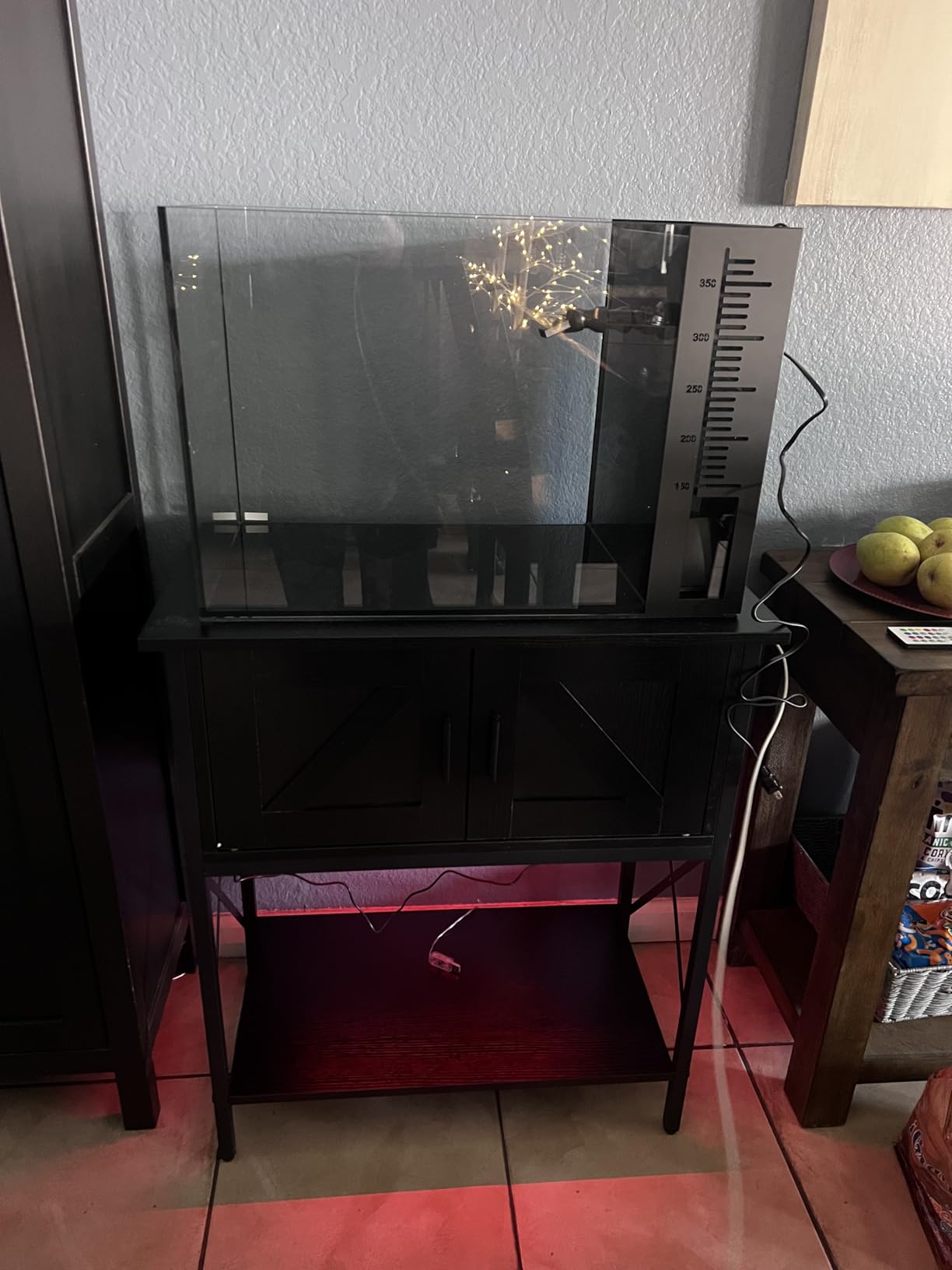 HOOBRO 20 Gallon Fish Tank Stand with Power Outlets and LED Light, Metal Frame Aquarium Stand, Reptile, Turtle Tank Stand with Cabinet Storage, 27.6'' L x 15.7'' W, 300 LBS Capacity, Black customer photo 2