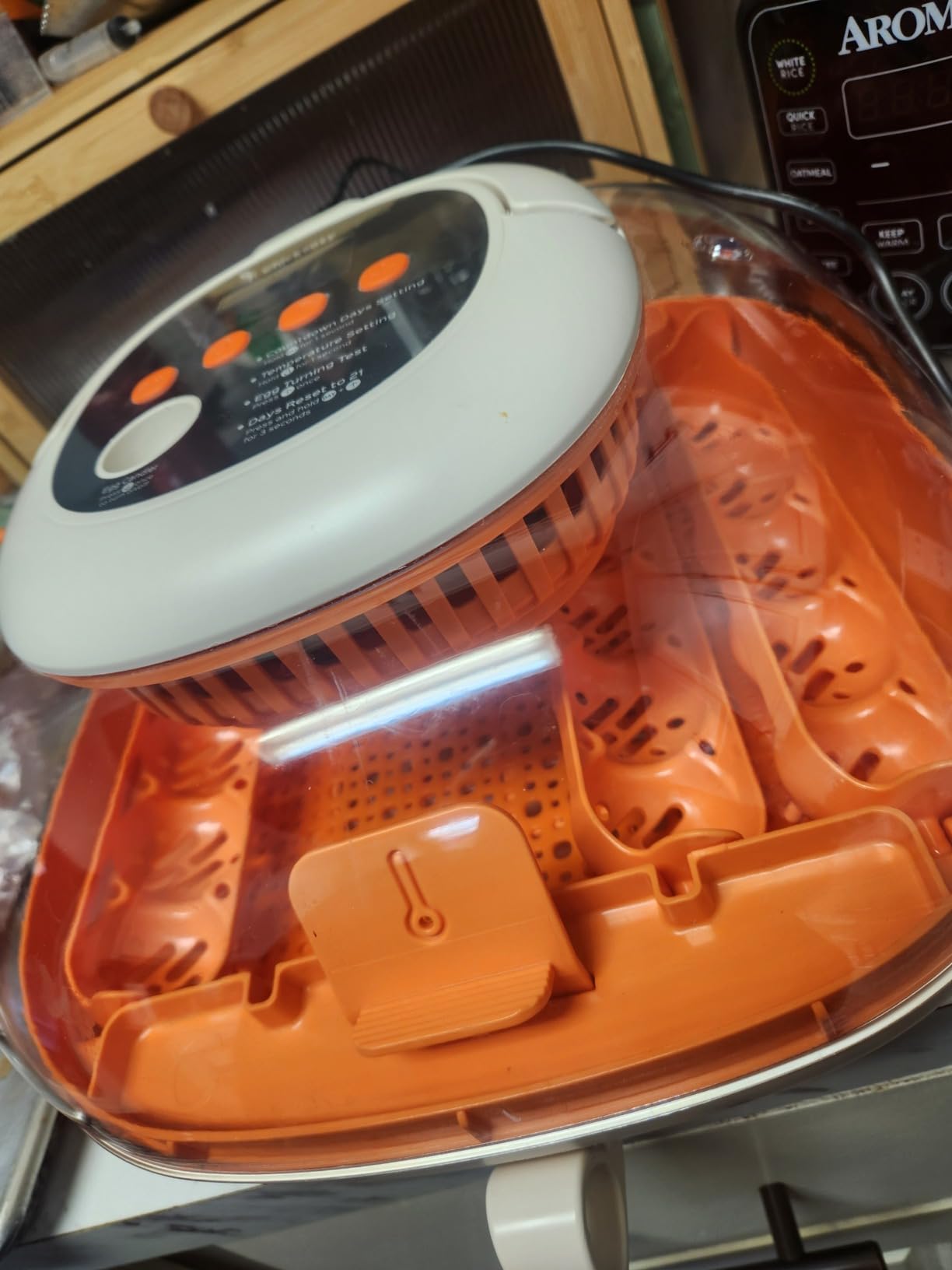 Chickcozy 25 Egg Incubator, Automatic Egg Turner with Thermometer Seat and Humidity Control, Egg Candler, 360° View with Clear Window, Incubators for Hatching Chicks customer photo 2