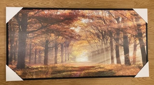 Summer Melody Black White Forest Framed Canvas Wall Art 40x20Inch | Misty Landscape Photography, Sunbeams Through Tree Picture, Sunset Woodland Prints Artwork for Dining Room, Bedroom, Entryway customer photo 1
