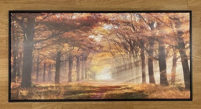 summer melody Black White Forest Framed Canvas Wall Art 40x20Inch | Misty Landscape Photography, Sunbeams Through Tree Picture, Sunset Woodland Prints Artwork for Dining Room, Bedroom, Entryway customer photo 2