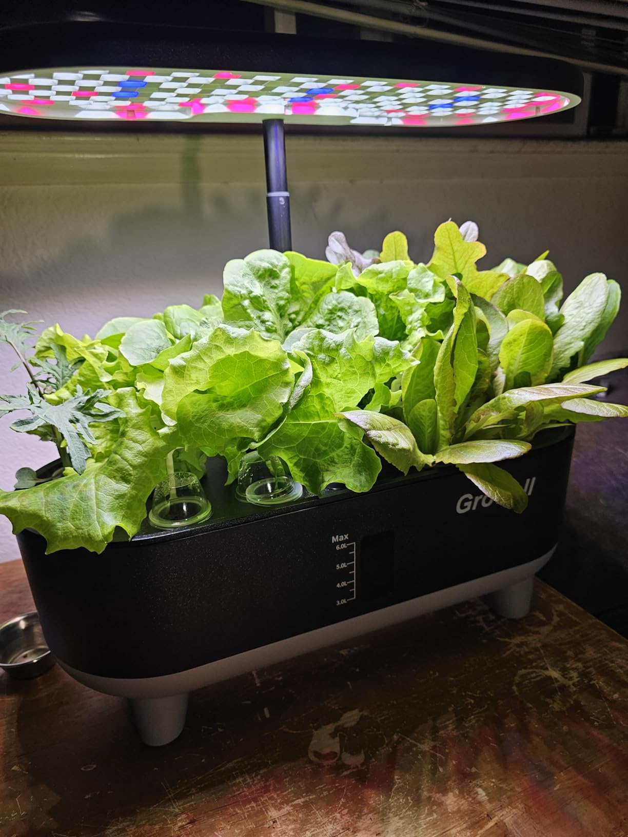 Growell Hydroponics Growing System Kit, 16 Pods Indoor Garden with 28W Full Spectrum LED Grow Light, Auto Timer, 3 Smart Light Modes, 8L Large Herb Garden, Ideal Gardening Gift for Women, Men (Black) customer photo 2