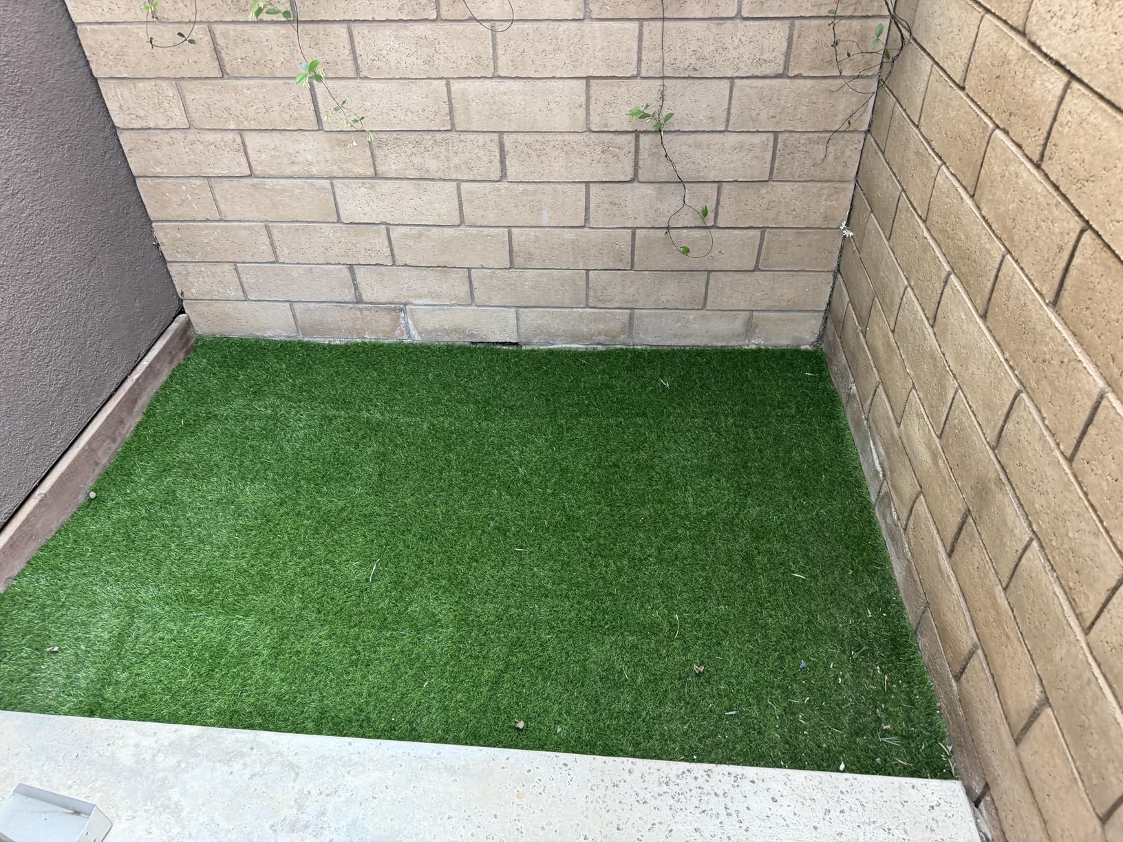 Realistic Artificial Grass Turf Outdoor, 6x10ft Synthetic Fake Grass Mat | Easy to Clean, with Drainage, Reusable, Faux Grass Rug, Dog Potty Training, Indoor Carpet for Patio Balcony Landscape Decor customer photo 2