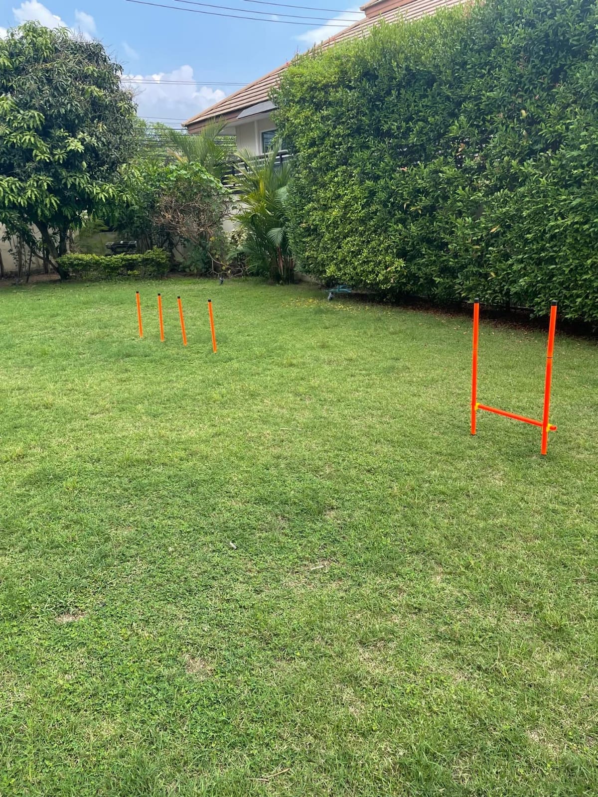 XiaZ Dog Agility Course Backyard Set, Dog Obstacle Course Training Starter Kit with Tunnel, Agility Hurdle, Weave Poles, Jump Ring, Pause Box, Collapsible Dog Bowls and Storage Bag customer photo 2