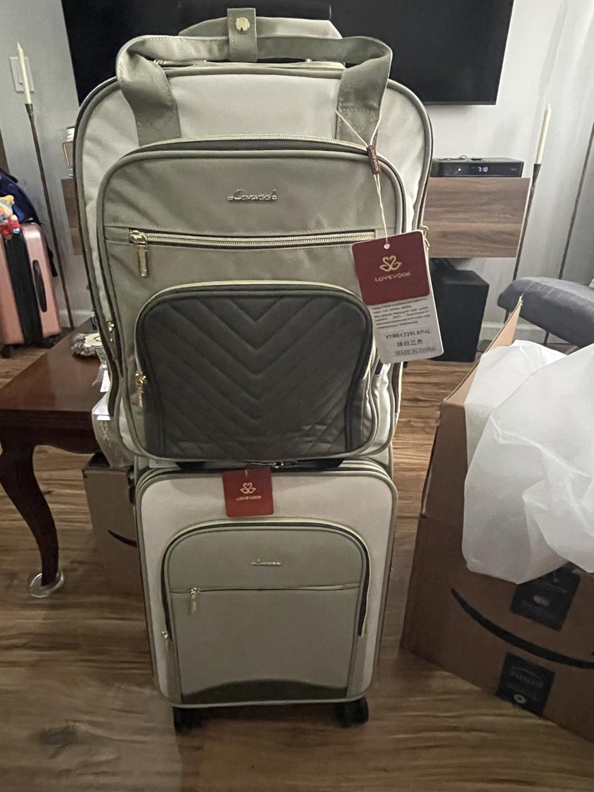 LOVEVOOK Carry On Luggage 22x14x9 Airline Approved, 20 Inch Softside Suitcases with Wheels, Lightweight Spinner Carry on Suitcase with TSA Lock, Water-Resistant Large Capacity Luggage for Travel customer photo 2