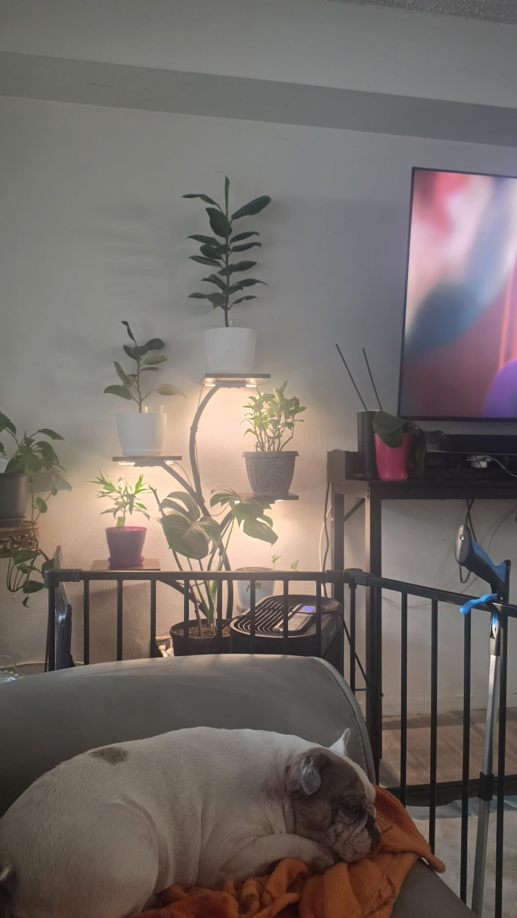 BACEKOLL Plant Stand Indoor with Grow Light, 7 Tier 49
