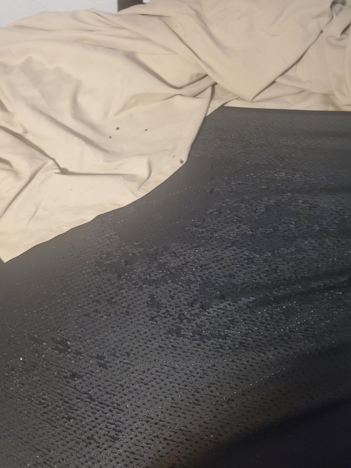 GAYA Grounding Mat for Bed, Sleep & Pain Relief, King Size, 15ft Cord | 100K Ohm safety resistor, soft breathable conductive carbon, anti-slip base customer photo 1