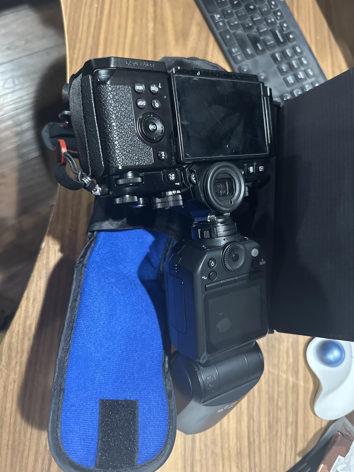 NEEWER Z2-C 2.4G TTL Round Head Flash Speedlite Compatible with Canon Cameras, Compatible with Godox, 76Ws 1/8000s HSS, Diffuser, 2 Modeling Lamps, TTL/M Toggle Key, 3000mAh, 600 Full Power Light customer photo 2