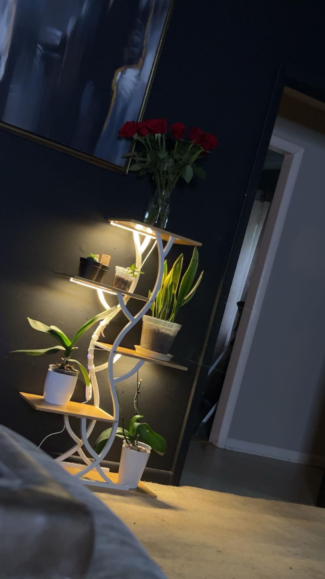 Plant Stand Indoor with Grow Lights - 5 Tiered Corner Plant Shelves (Brown) | 44