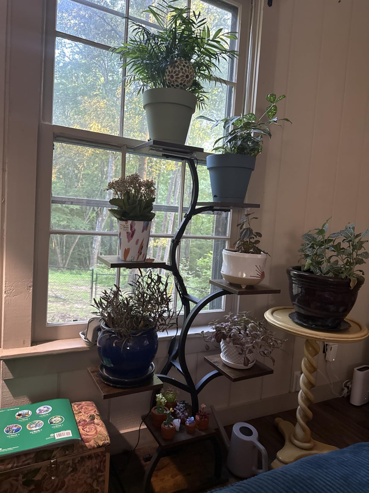 Plant Stand Indoor with Grow Light - 8 Tiered Corner Plant Shelf Indoor | 49