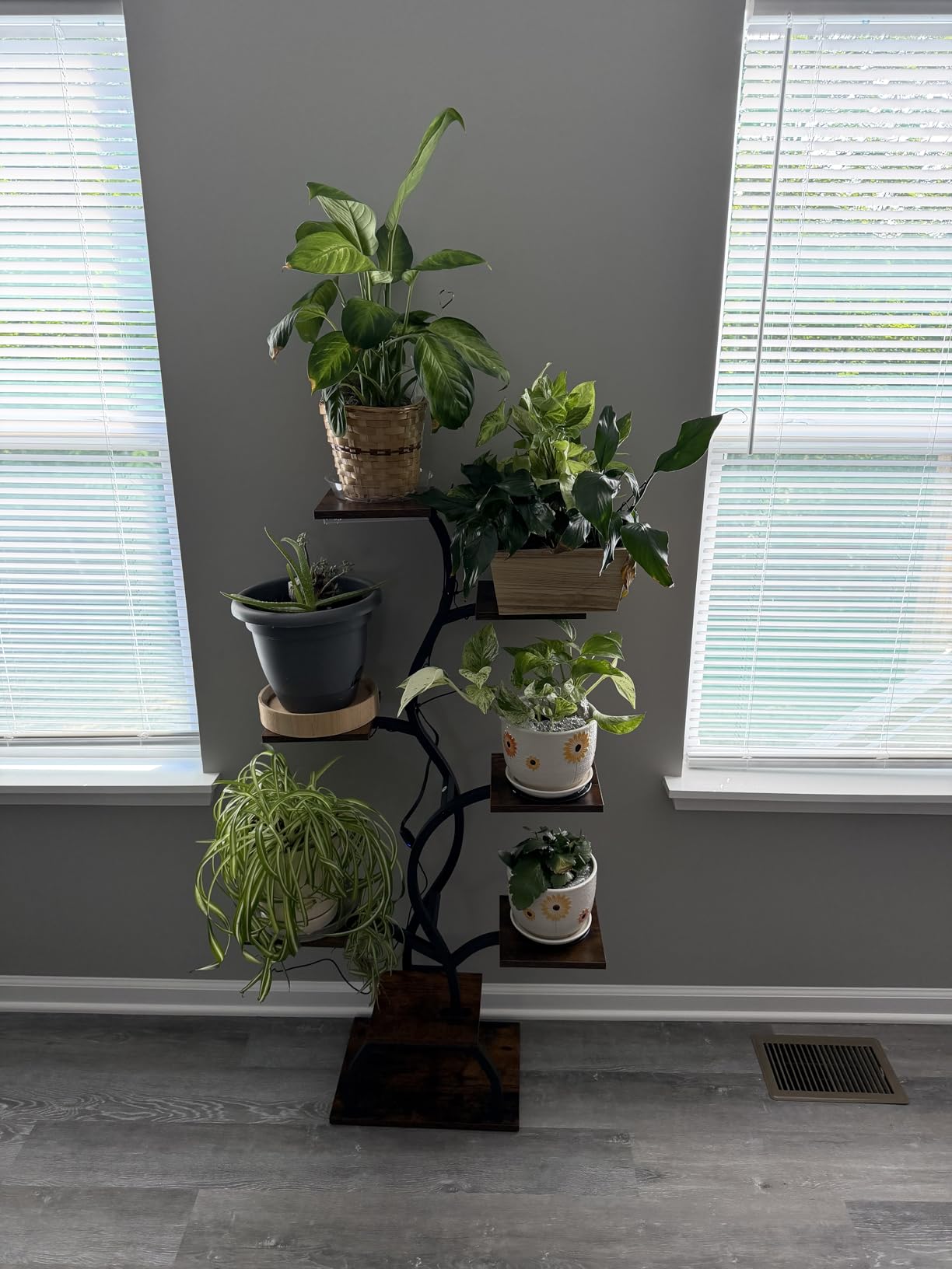Plant Stand Indoor with Grow Light - 8 Tiered Corner Plant Shelf Indoor | 49