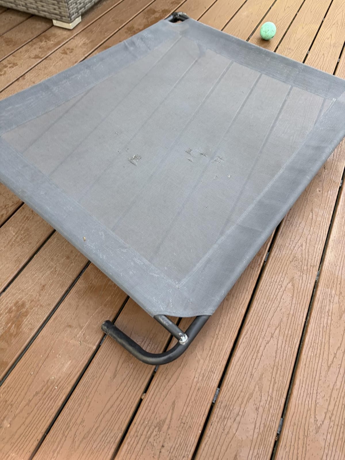 8 Best Elevated Dog Beds for Large Dogs (August 2026) Reviewed
