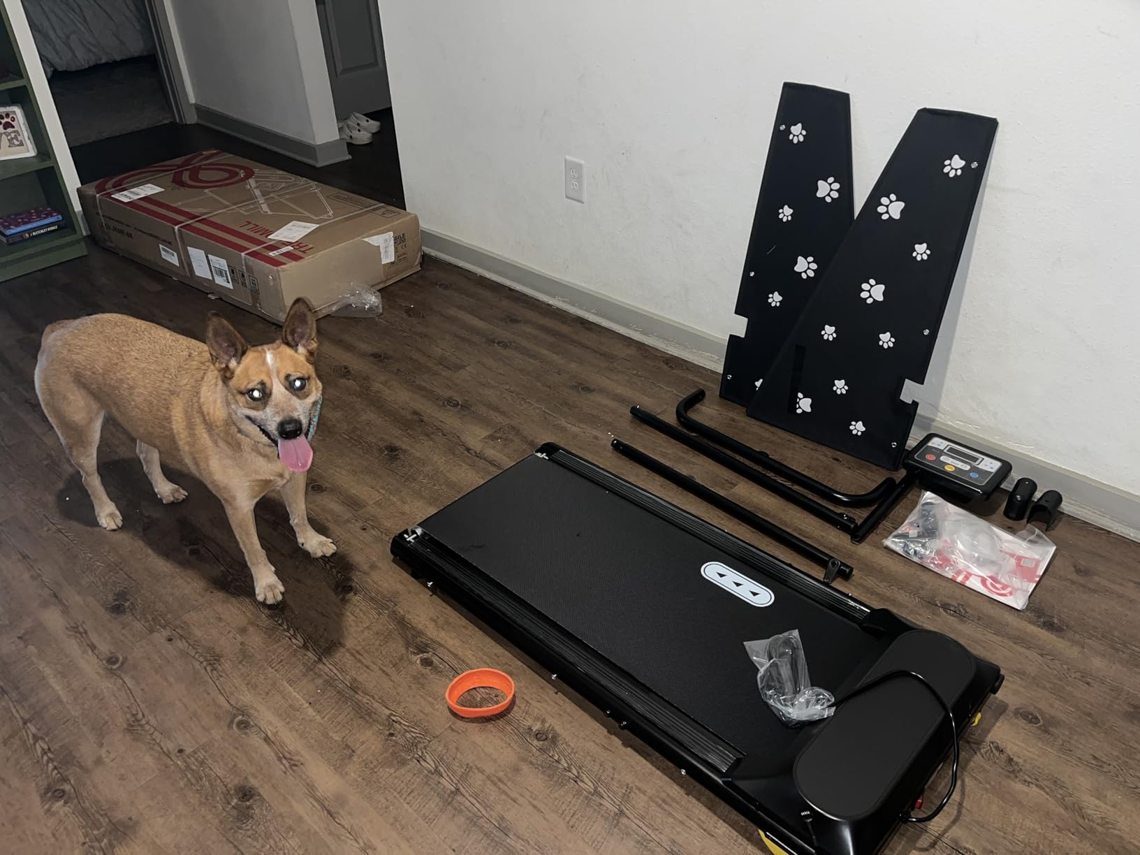CIIHI Dog Treadmill for Medium Small Dogs - 265lbs Weight Capacity Pet Running Machine with 360 Rotatable Display - 2 in 1 Treadmill for Pet Fitness with Move Wheels and Remote Control customer photo 2