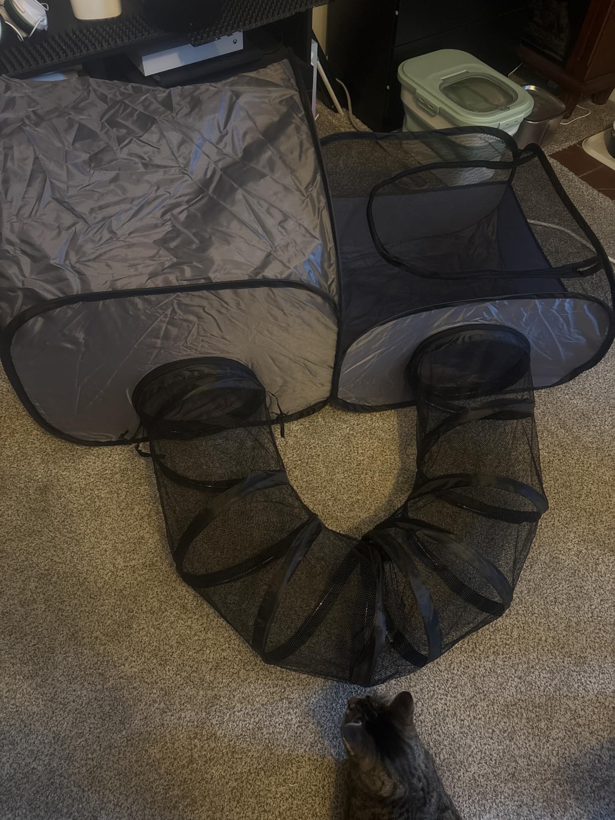 Tailtastic Indoor/Outdoor Cat Playpen with Surround Tunnel 2 Zones Grey | Escape-proof enclosed enclosure, lightweight foldable for travel, ideal for indoor cats, multi-cat homes & birthing customer photo 1