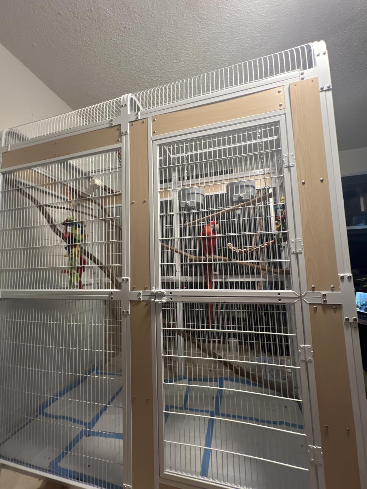 Large Bird Cage for Parakeets Outdoor Bird Aviary Parrot Cage with Perch, Birdcage for Macaws Canaries Parrots Budgie Lovebirds-Black (2 Box Set) customer photo 1