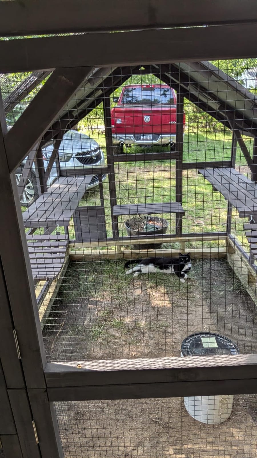 Aivtuvin Cat Catio Outdoor Cat House Movable Large Enclosures on Exercise Wheels Kitty Cage with Upgraded Resting Box, Waterproof Cover customer photo 1