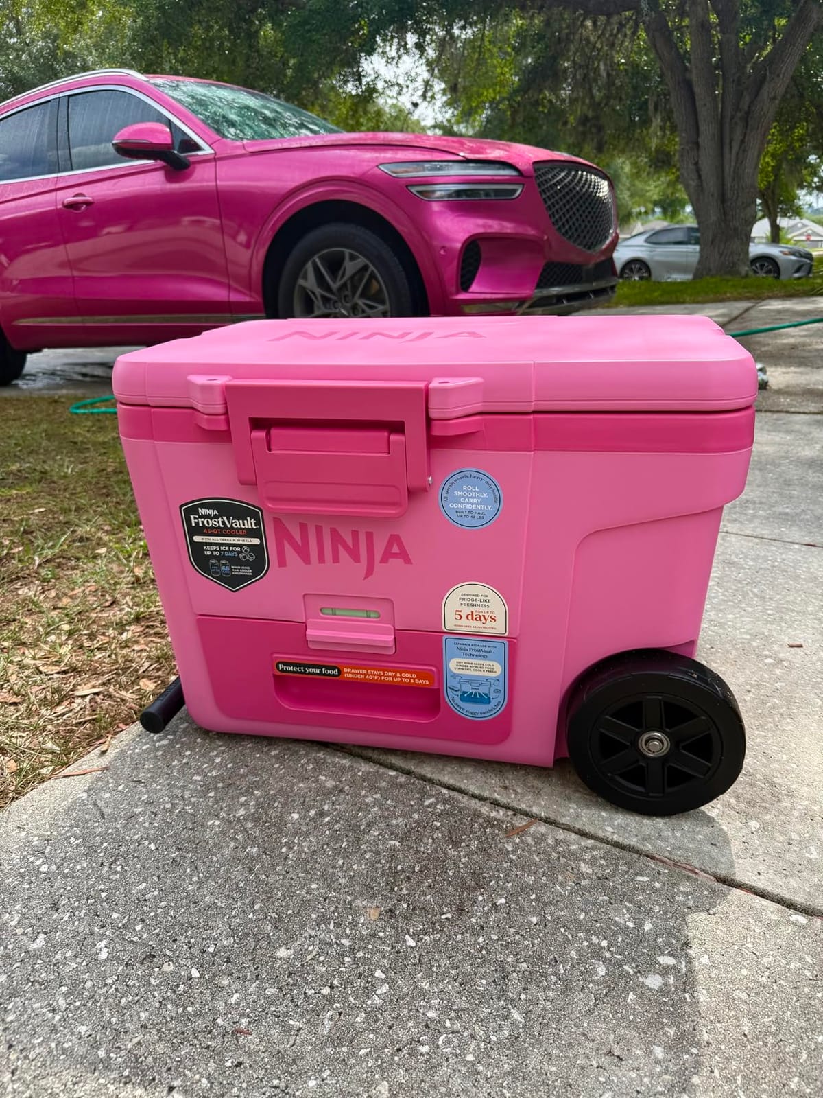 Ninja FrostVault 45qt Cooler with Wheels, Dry Storage, Charcoal Gray | Ninja FrostVault's 45-qt capacity holds 68 cans, keeps food cool & dry, and rolls easily on all-terrain wheels customer photo 2