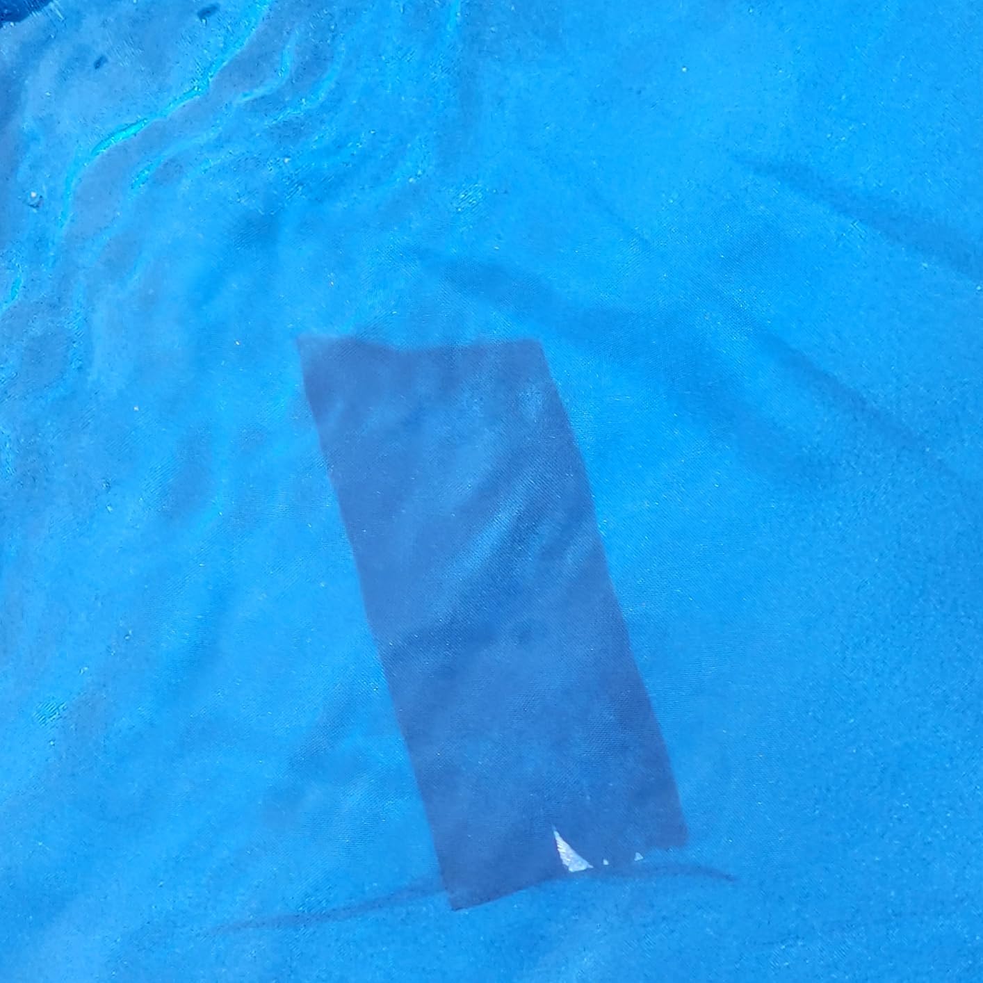 Peteast Dog Pool for Large Dogs, Foldable Hard Plastic, 71 x 39 x 12 in | Extra Large Collapsible Pet Bath Tub with Non-Slip Base for Indoor, Outdoor and Backyard Use, Blue customer photo 2