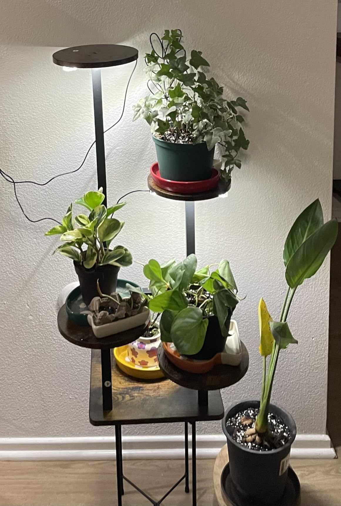 Homsorout Plant Stand Indoor with Grow Light, 4-Tiered Tall Plant Stand Indoor, Metal Plant Shelf with Adjustable Light, Ideal for Living Room, Garden, Patio (Black Brown) customer photo 2