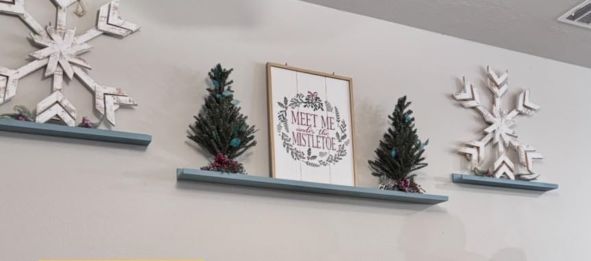 Picture Ledge Shelf, Floating Shelves for Decor Storage Set of 6, 16 inch Floating Wall Mounted Shelves, Wall Shelves with Lip for Living Room, Bedroom, Nursery, Bathroom, Kitchen, Black customer photo 2