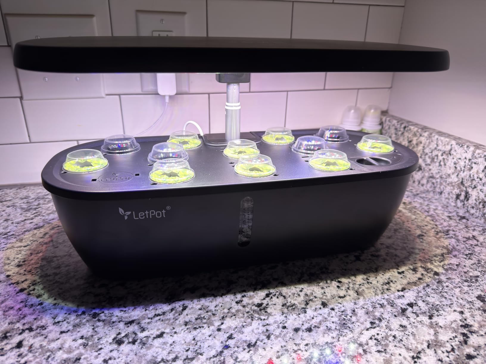LETPOT LPH-Air Hydroponics Growing System Kits, APP & WiFi Controlled Smart Indoor Garden with 24W Grow Light Full Spectrum, 10 Pods Planter Indoor Gardening for Gifts, Kitchen, Vegetable (Black) customer photo 1