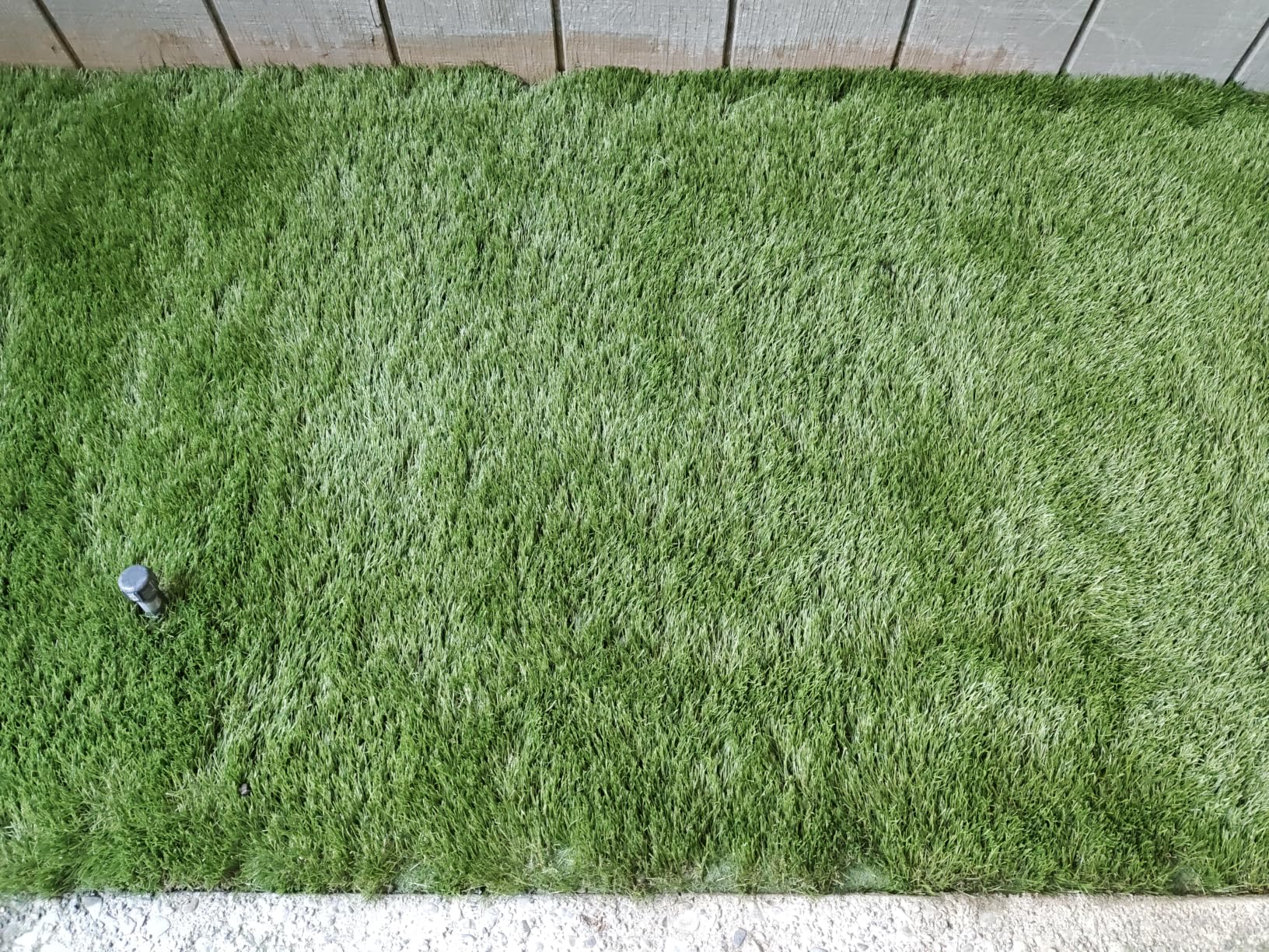 Thick Artificial Grass Turf 4x10FT, 1.77 Inch Realistic Fake Grass Rug with Drainage, Customizable with Extra Large Size, Perfect for Indoor and Outdoor Use, Synthetic Grass Mat for Dogs customer photo 1