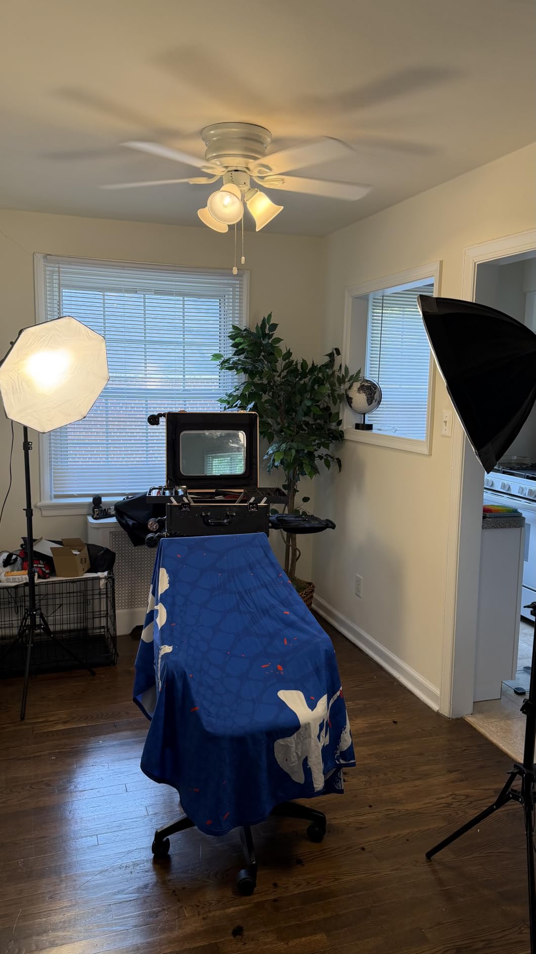 UBeesize Softbox Photography Lighting Kit, 20'' x 20'' Professional Softbox Lighting Kit with 85W 3000-7500K LED Bulbs, Studio Lights for Photography/Video Recording/Portraits Shooting/Live Streaming customer photo 2