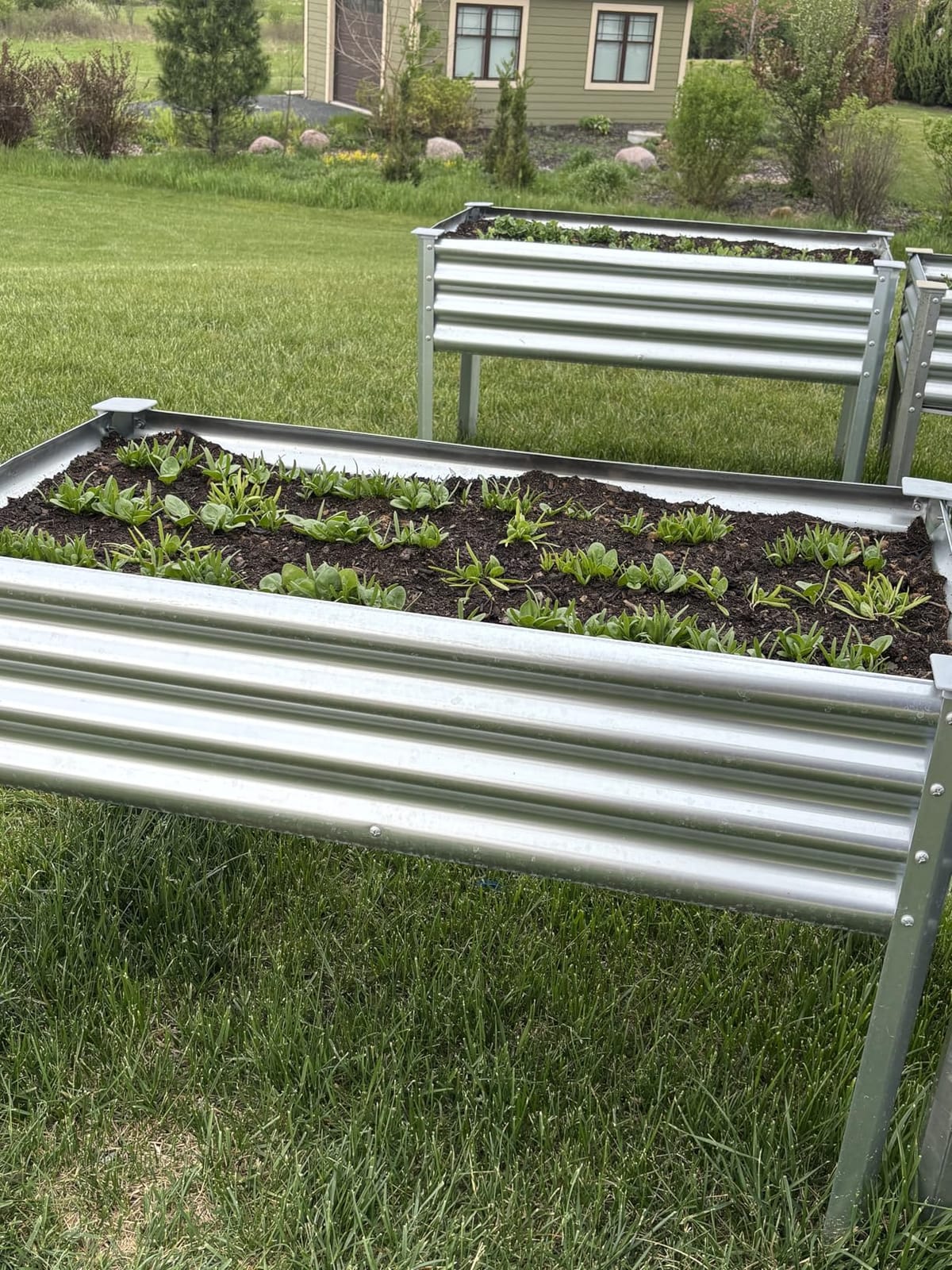 Land Guard 2 Pack Galvanized Raised Garden Bed with Legs, 48×24×32in Large Metal Elevated Raised Planter Box with Drainage Holes for Backyard, Patio, Balcony, 700lb Capacity customer photo 2