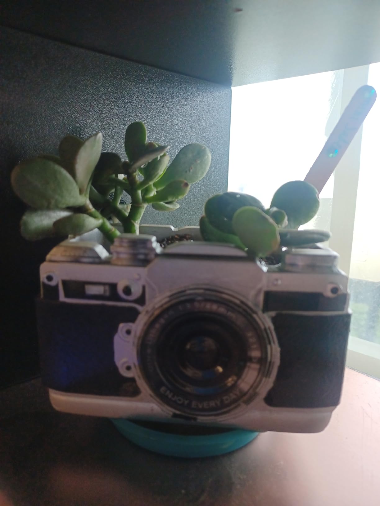 Camera Decorative Planter Plant Gift - Desk Decor Succulent Pot for Indoor Plants Camera Home Shelf Office Decor Small Flower Pot with Drainage (Black) customer photo 2