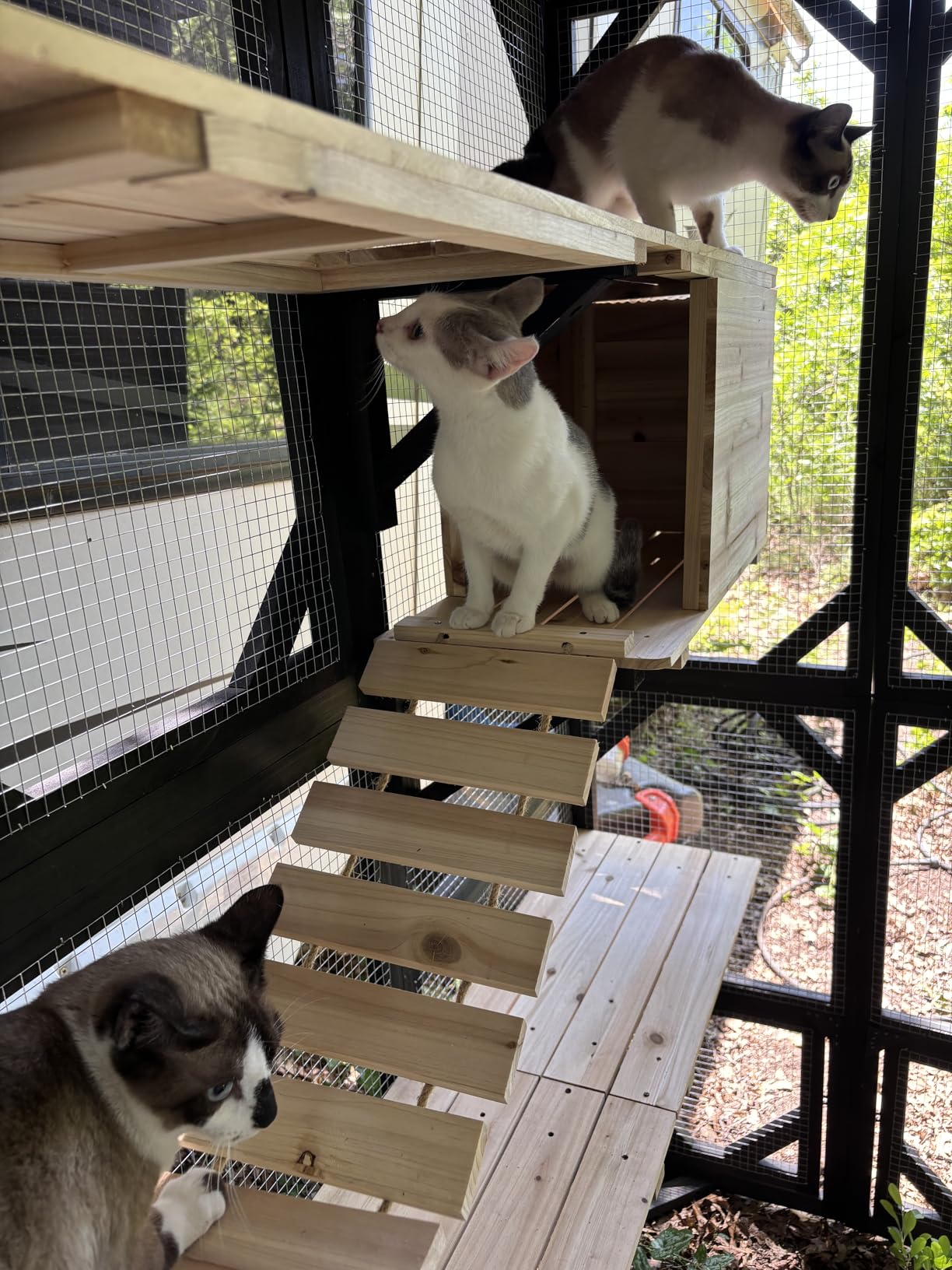 FunXplore Large Catio Outdoor Cat Enclosure Window 73