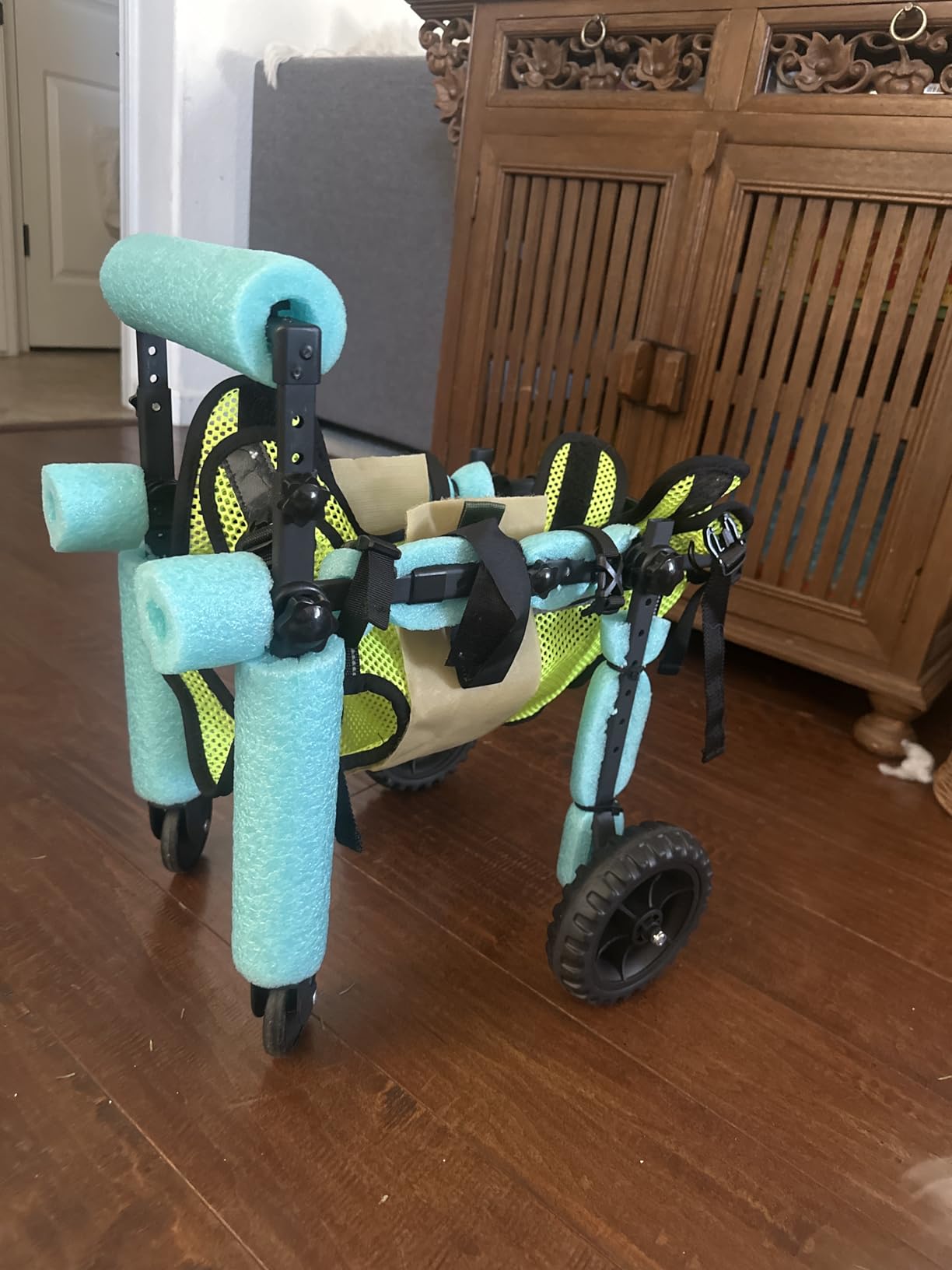 Adjustable Dog Wheelchair for Back Legs, for All Breed Dog - Includes High-Visibility Vest, Leash & Sling Lift, Lightweight Pet Wheelchair for Disabled Hind Legs (Medium, for Small Breed Dog) customer photo 1