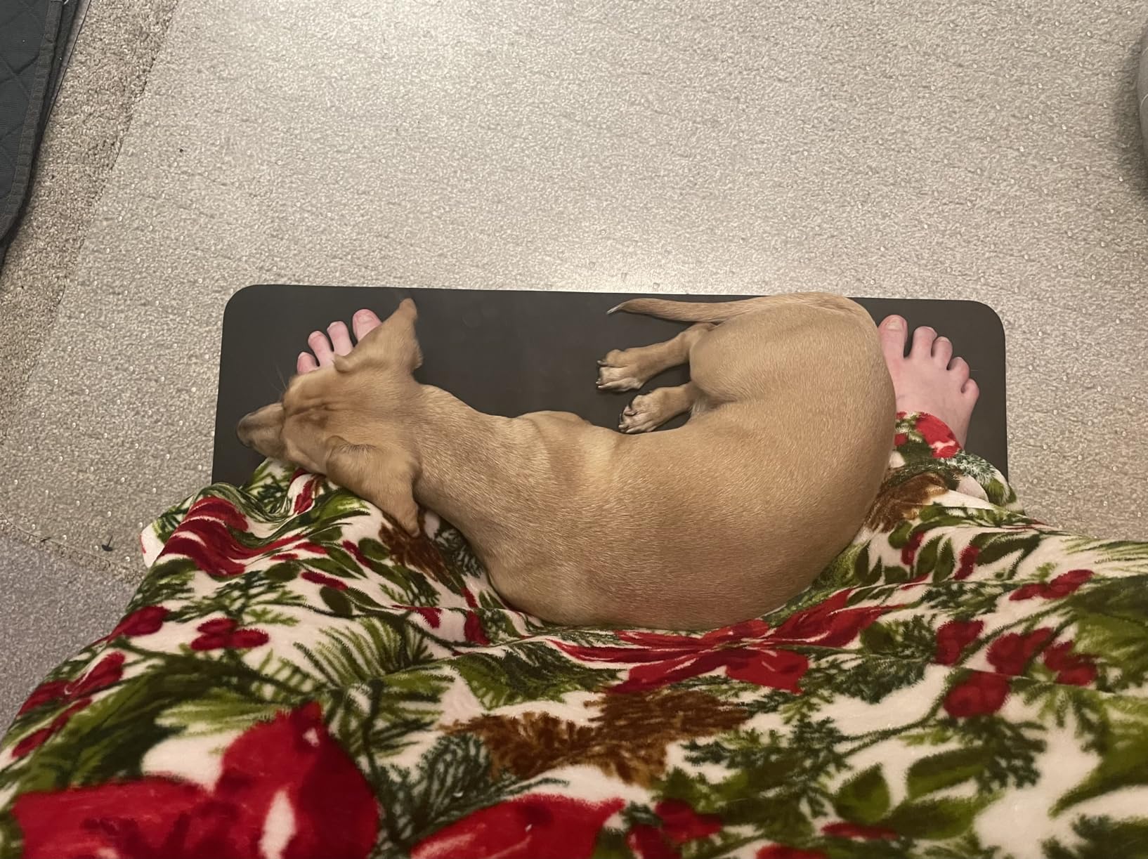 Grounding Mat for Bed, Grounding Mattress Cover Pads for Better Sleep, Pain Relief & Wellness Support, Earth Connected Therapy (King, 27x76in) customer photo 1