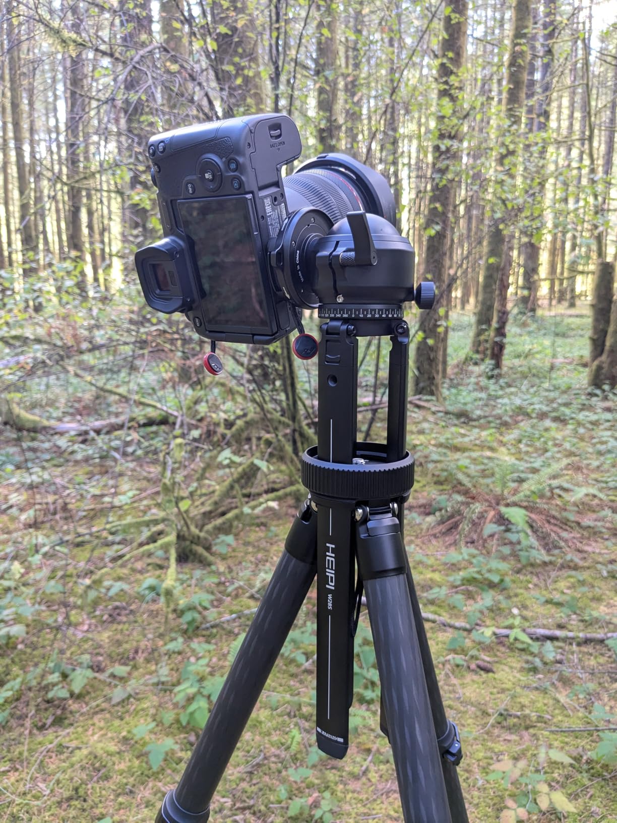 HEIPI Camera Tripod Carbon Fiber Travel Tripod with Arca-Swiss W28S | Quick-Release 360° horizontal panning, vertical tilting ball head. Lightweight & portable. Ideal for DSLR, mirrorless cameras customer photo 1