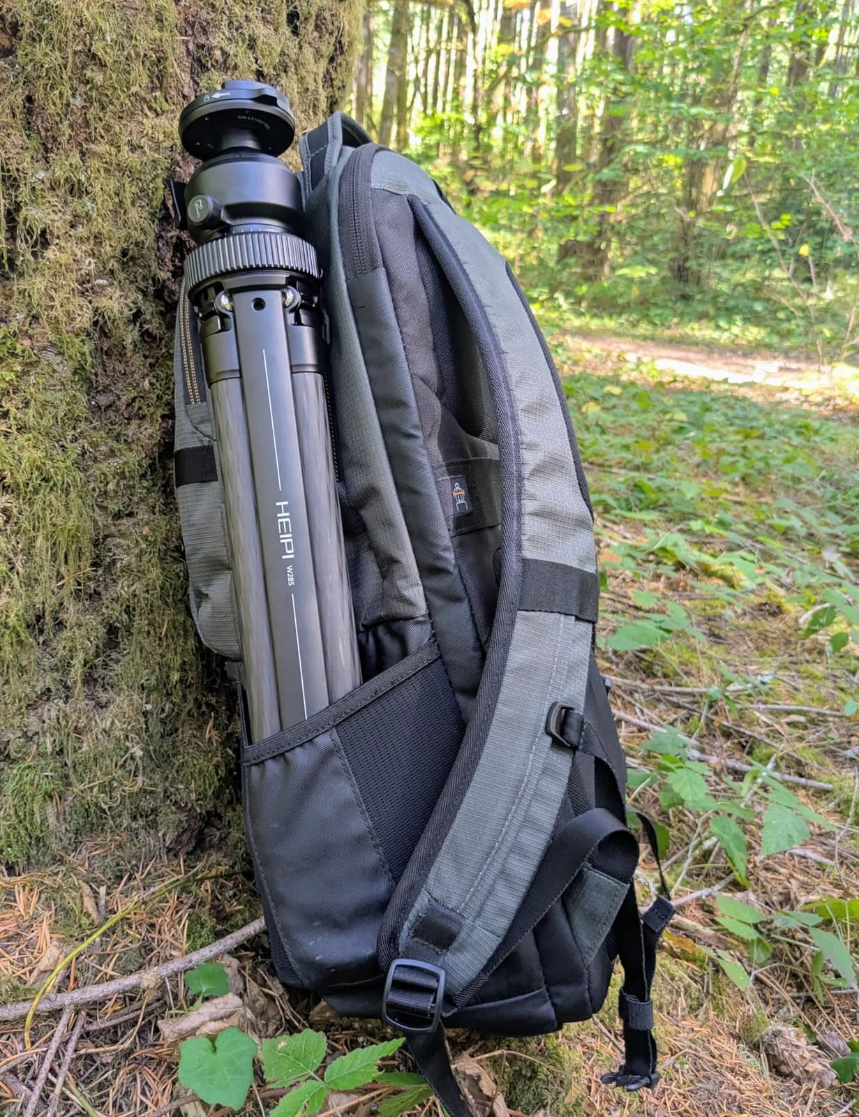 HEIPI Camera Tripod Carbon Fiber Travel Tripod with Arca-Swiss W28S | Quick-Release 360° horizontal panning, vertical tilting ball head. Lightweight & portable. Ideal for DSLR, mirrorless cameras customer photo 2