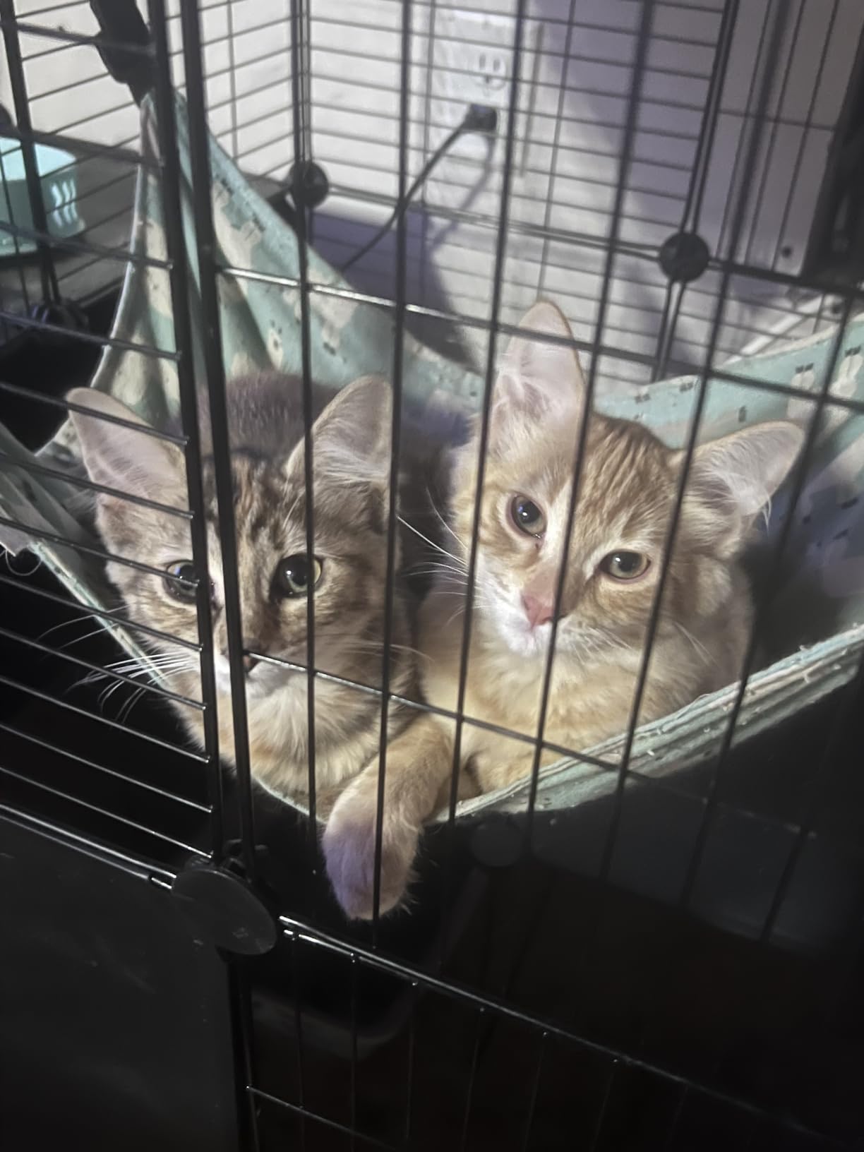 VISCOO Cat Cage, 3-Tier DIY Cat Enclosures Catio, Cat Playpen 36