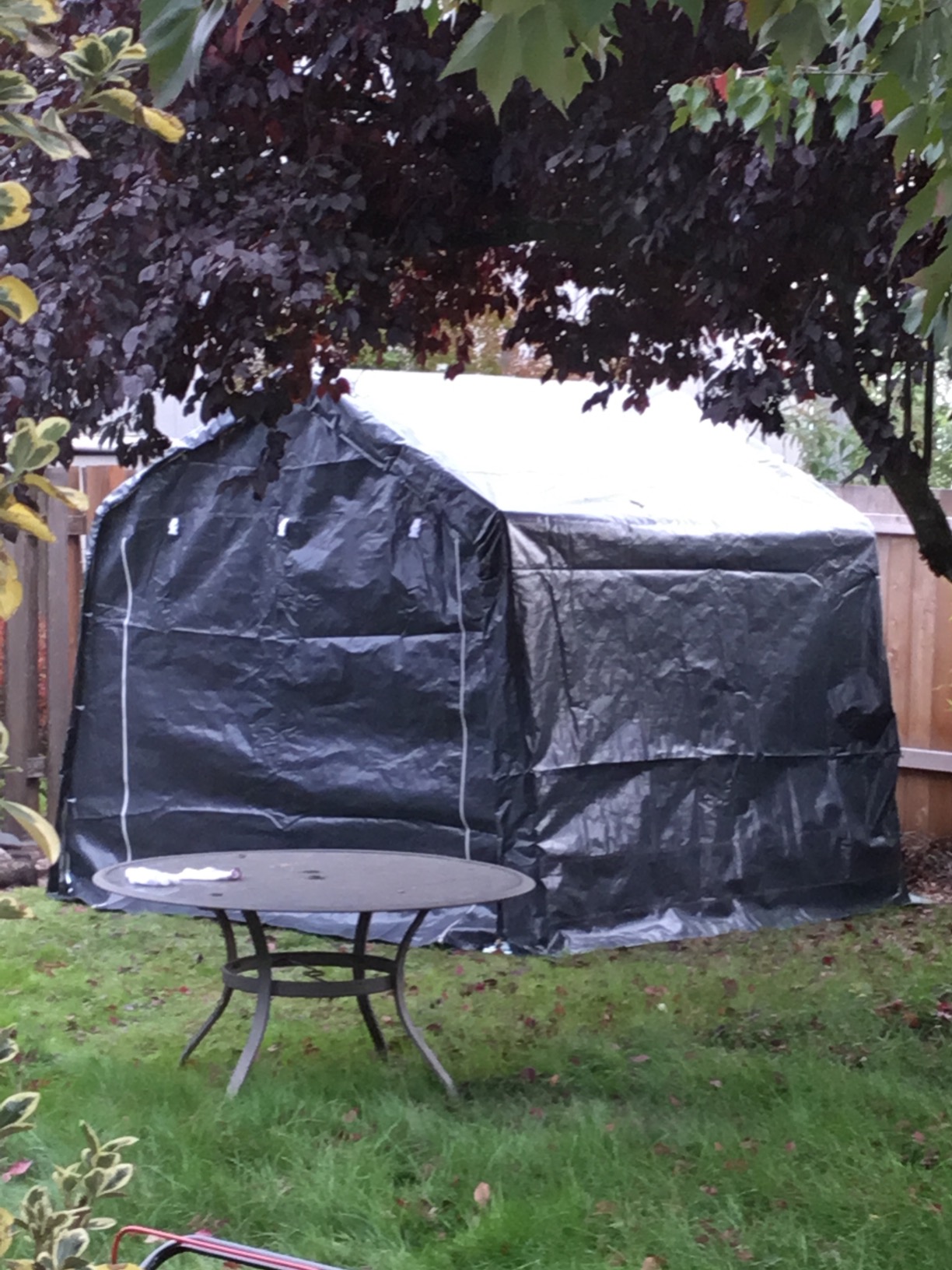 Quictent Heavy Duty 8x14FT Carport Shelter with Roll-Up Mesh Windows & Reinforced Frame, Portable Garage Canopy for Motorcycle Storage, Outdoor Equipment, Patio Furniture Cover - Dark Gray customer photo 1
