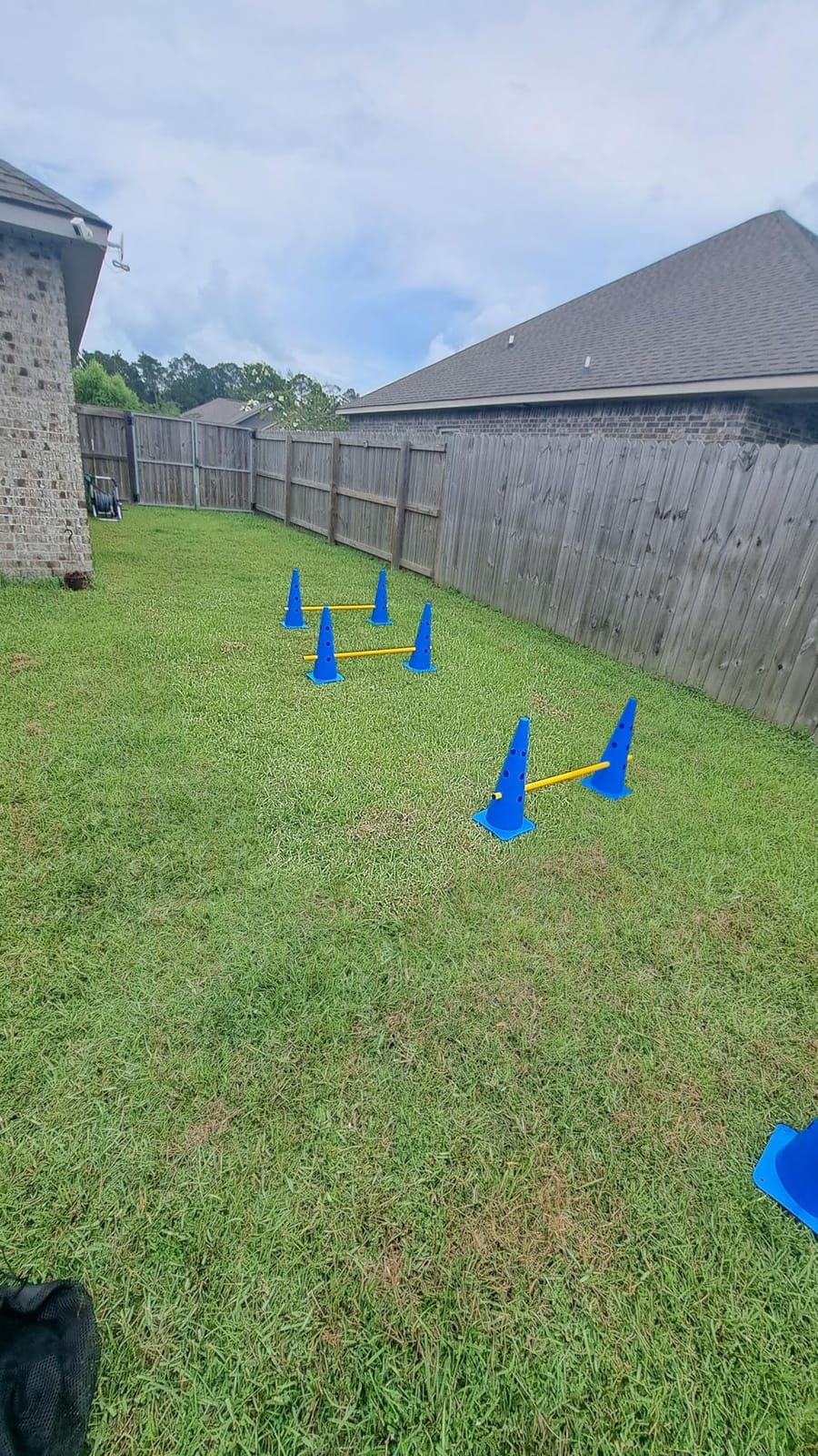 Dog Agility Course Backyard Set, Dog Agility Hurdle Cone Set with Height Adjustable Crossbar for Rehabilitation & Beginners, Dog Agility Equipment for Dog Obstacle Course - 12 Inch customer photo 2