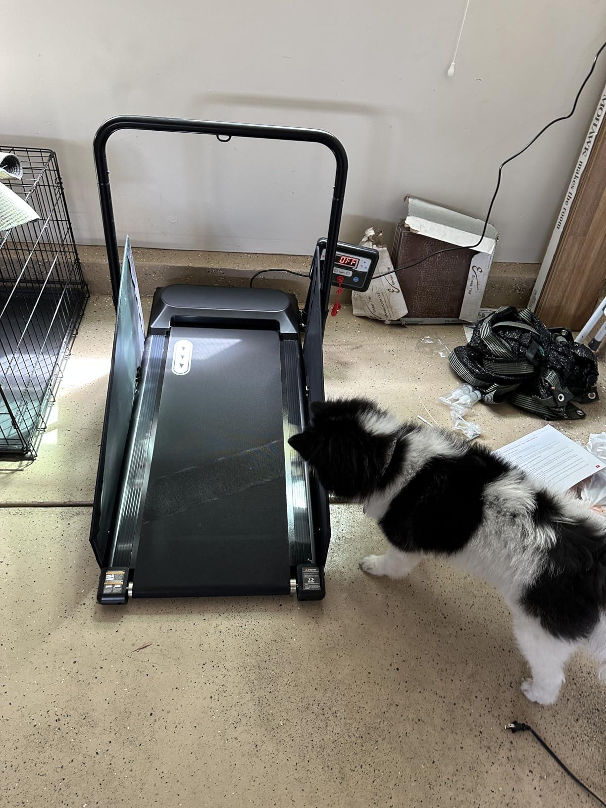 Petbobi Dog Treadmill for Small & Medium Dogs Up to 265 lbs Indoor Exercise | Quiet motor, 360 rotatable display, remote control & wheels, foldable design, fitness & weight management, easy to assemble customer photo 1