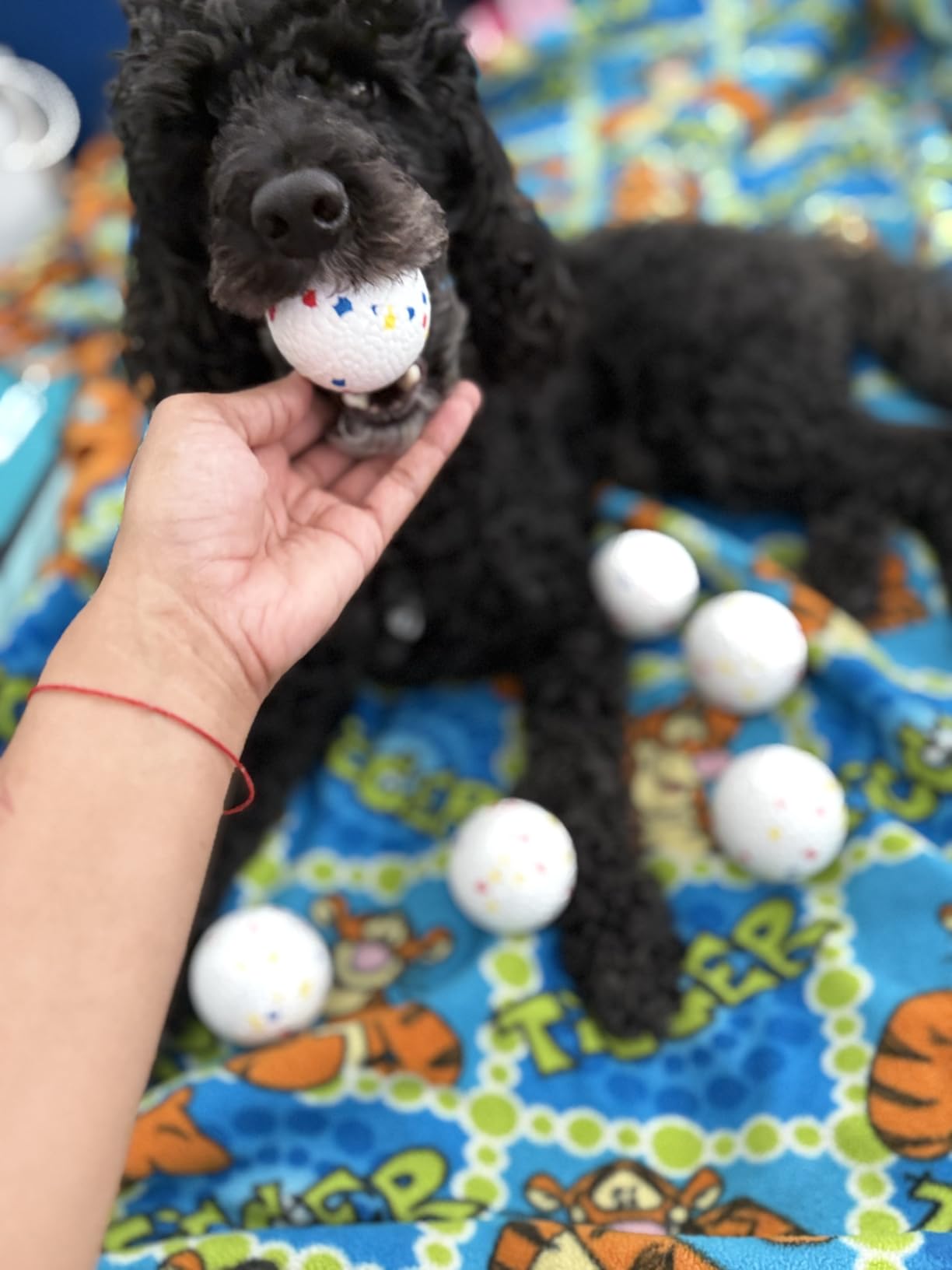 MEKAPLE Automatic Dog Ball Launcher, Upgraded Interactive Dogs Balls Thrower for Small and Medium Dogs, Distance Adjustable Mental Stimulating Dog Toys with 4 Durable Etpu Balls 2.2 Inch (Dark Green) customer photo 1