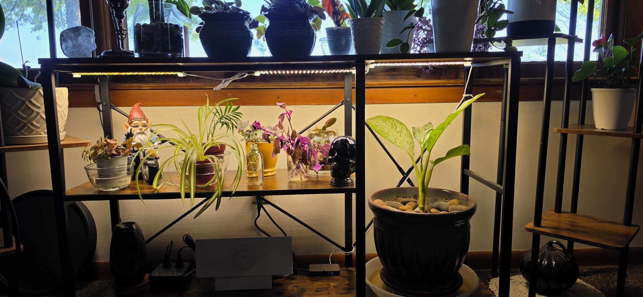 8-Pack Panel Grow Lights for Indoor Plants, FECiDA 2026 LED Plant Grow Light for Under Cabinet Plants, Full Spectrum Growing Lamp with 4,8,12,16,20 Hr Timer, Free Linking customer photo 1