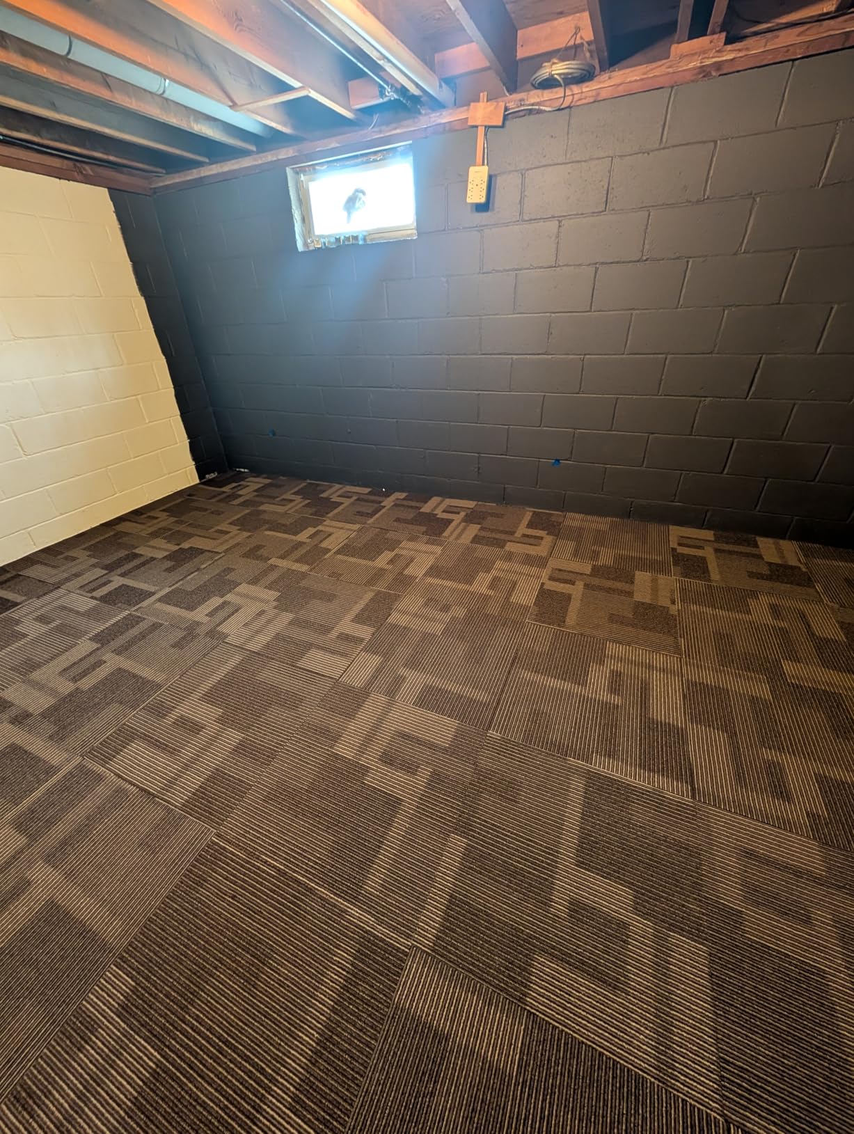 VEVOR Carpet Tiles Reusable 24x24 inch, 24 PCS Modular Carpet Square Rug, Commercial Floor Soft Padded for Seamless Cover 96sq.ft, Easy DIY for Office Indoor, Gray customer photo 1