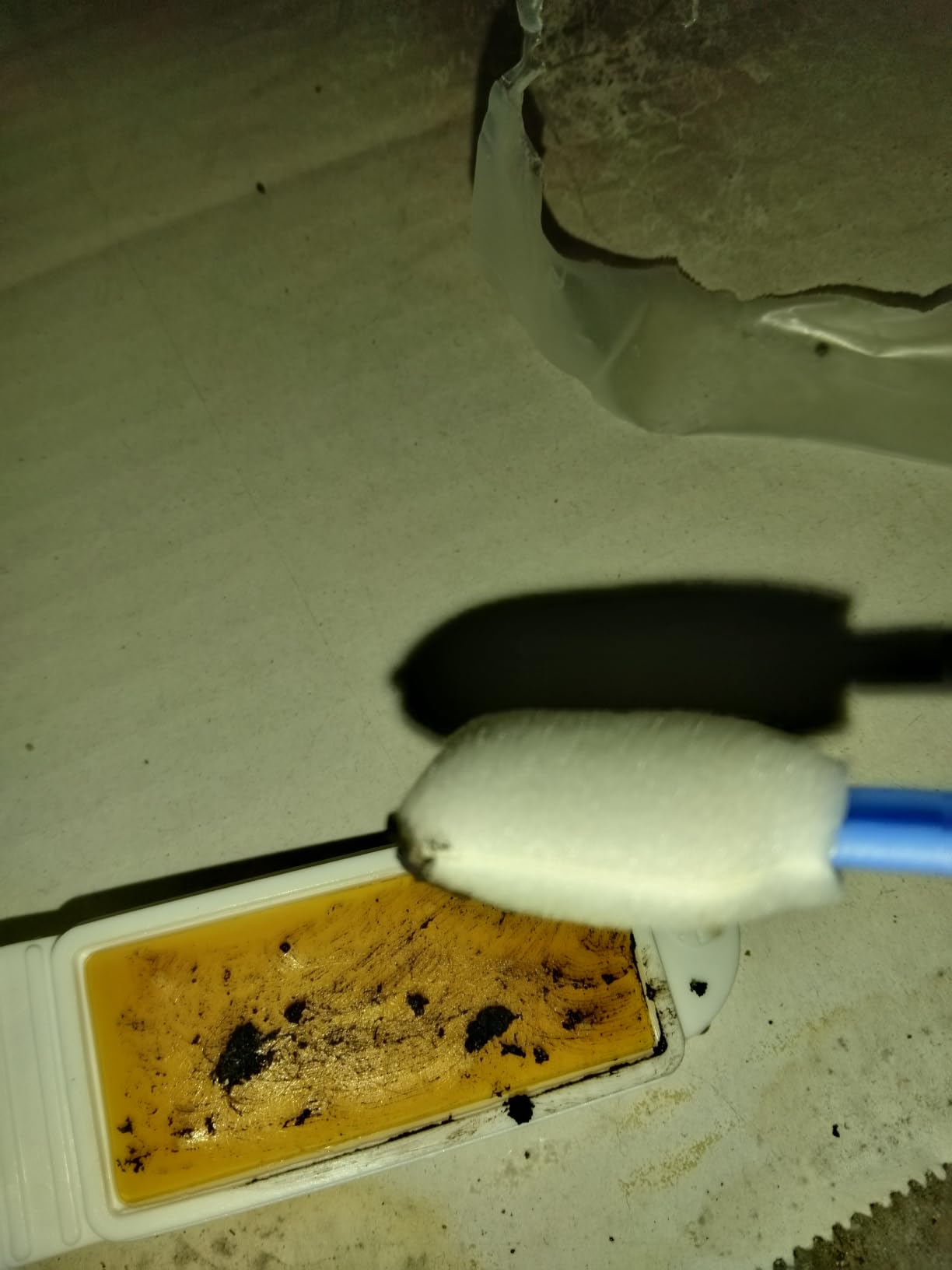 Detekt Mold Test Kit - 4 Mold + 4 Bacteria Tests for Home & HVAC customer photo 1