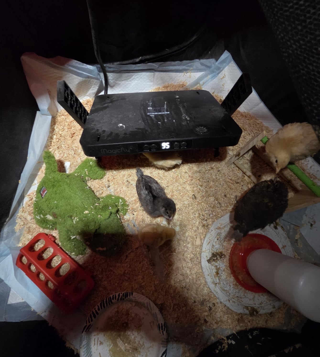 Magicfly Brooder Box for Chicks Starter Kit with 15 x 11 Inch Heating Plate | Chicken Brooder Tent with Chicken Perch, Feeder & Waterer, Holds Up to 15 Chicks, Duck, Quail customer photo 2