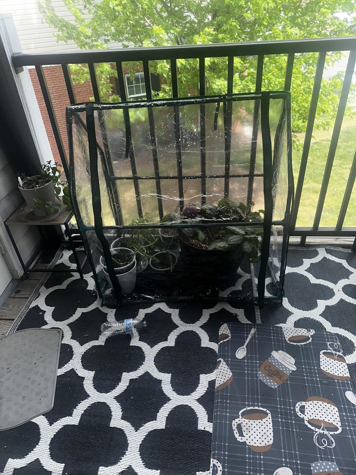 Yesker Mini Greenhouse 36