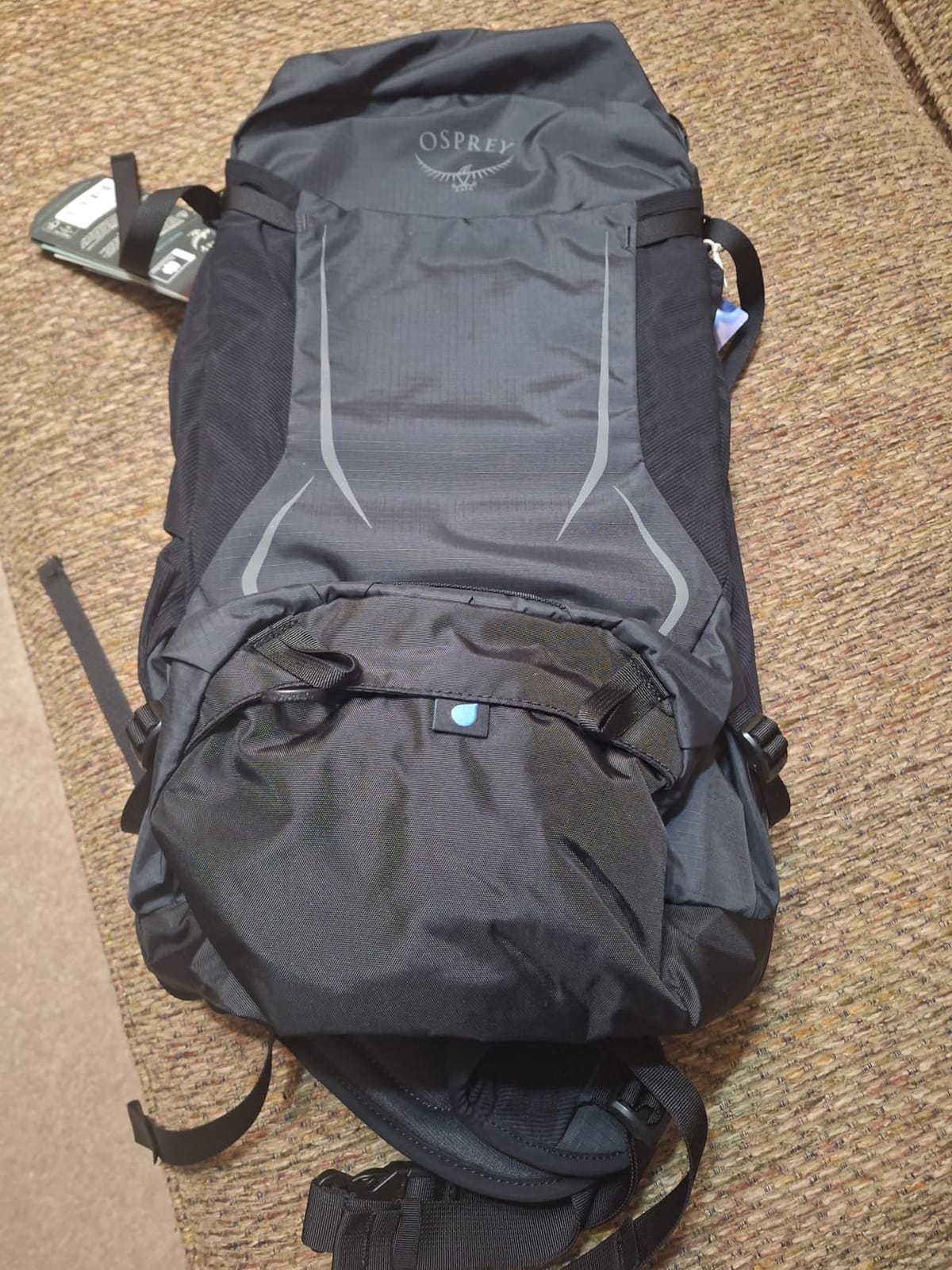 Osprey Hikelite 28L Hiking Backpack, Tan OS | Daypack, Travel Daypack, Camping Pack, Rain Cover, Wet Weather Carry customer photo 1