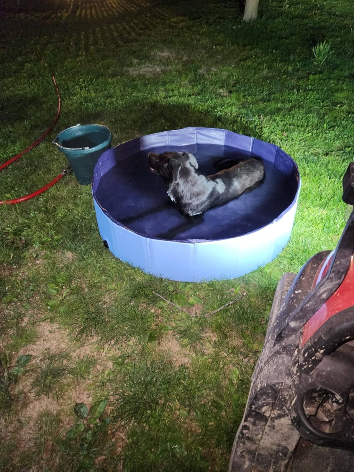 Foldable Dog Pool for Large Dogs, 91