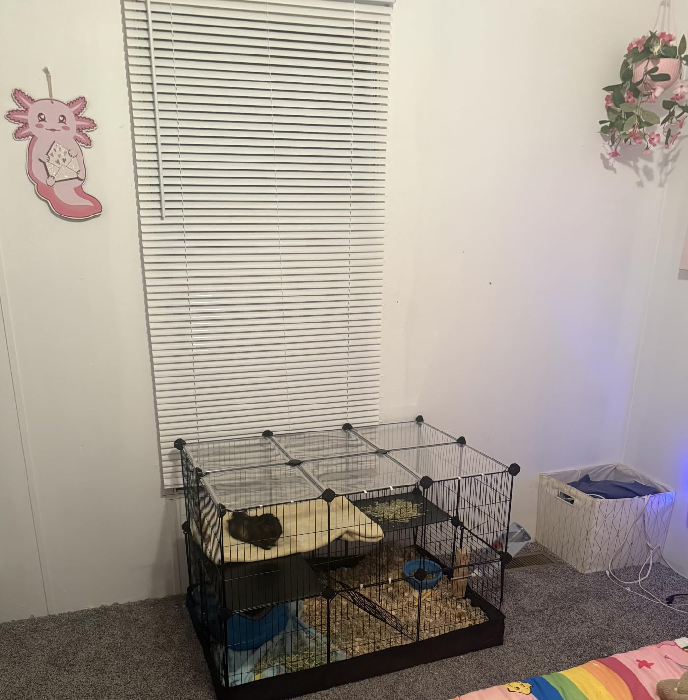 SONGMICS 2-Tier Guinea Pig Cage, Rabbit Cage, Small Animal Playpen with Waterproof Mat, Top and Side Door, 35 Panels, 36.6 x 24.8 x 24.2 Inches, Ink Black ULPI016BH01 customer photo 1