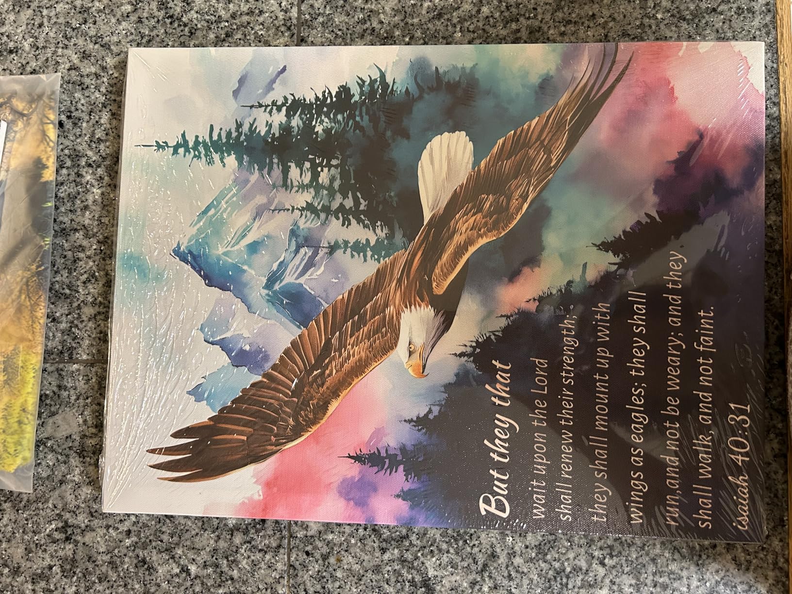 Eagle Wall Art Rustic Eagle Pictures Wall Decor American Bald Eagle Poster | 12x16