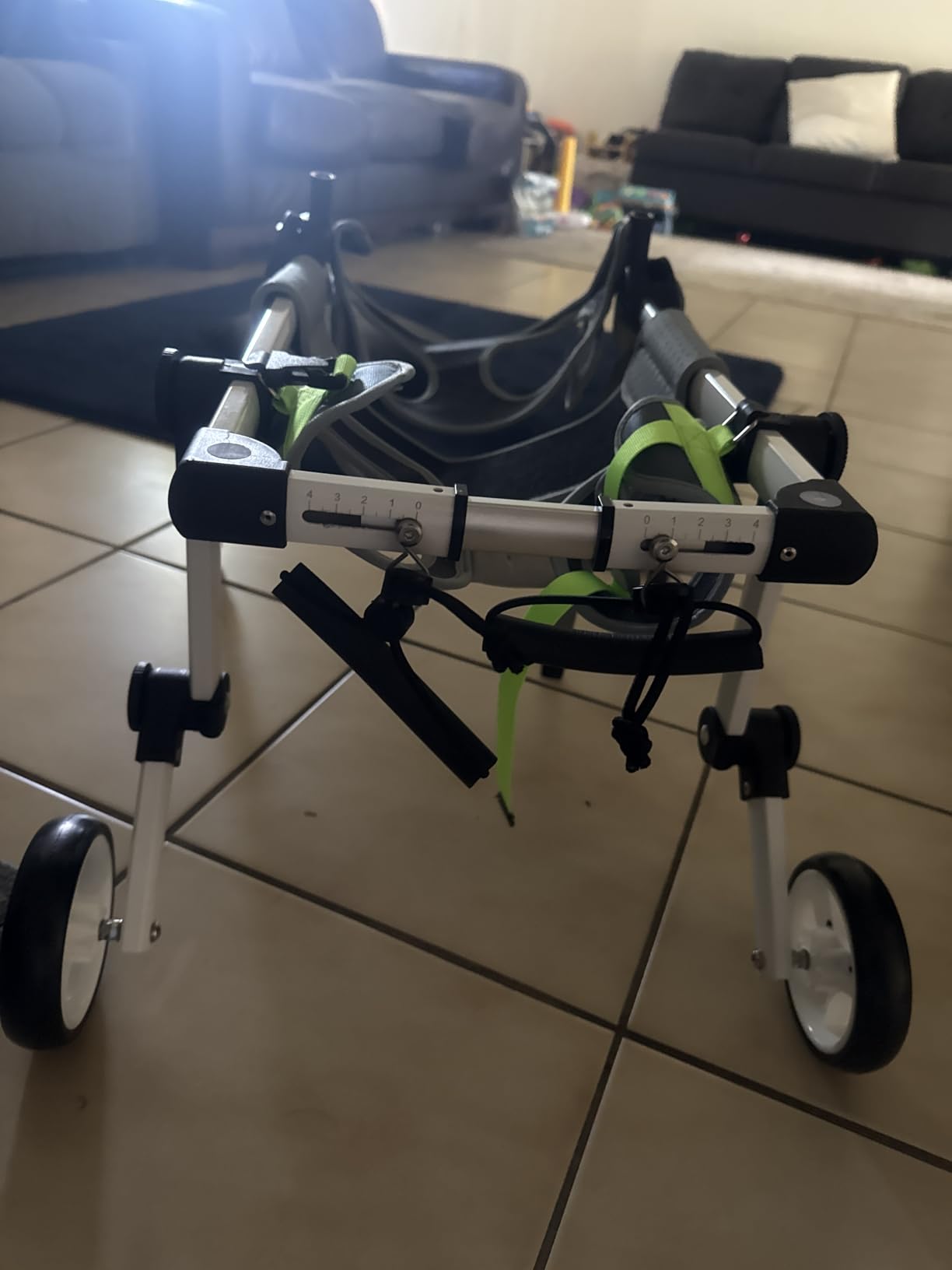 Dog Wheelchair 4 Wheels Adjustable, Full Body Support Dog Cart for Front & Rear Legs, Lightweight Mobility Aid for Small Dogs customer photo 1