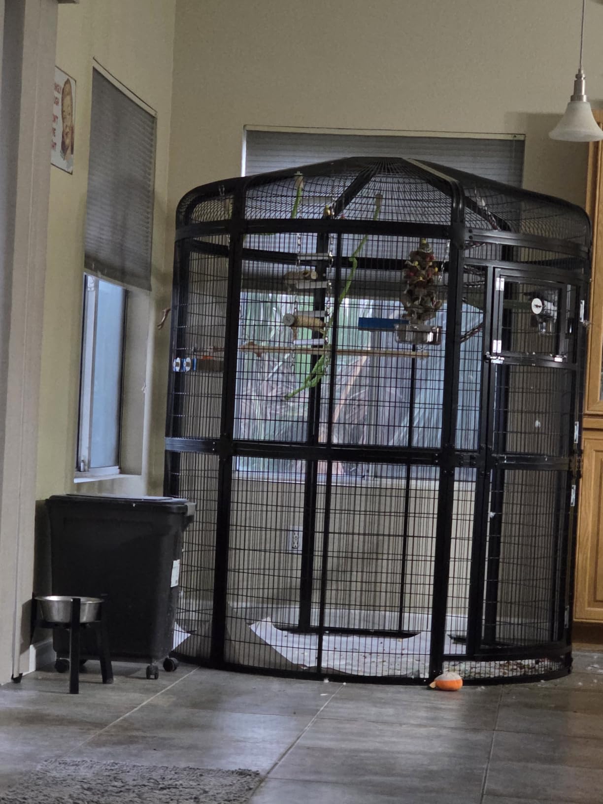 Extra Large Walk-in Round Bird Cage for Parrots, Budgies & Macaws - Outdoor Aviary with Rustproof Powder-Coated Steel, Large Door, Feeding Bowls & Beech Wood Perch, NSF Safe customer photo 1